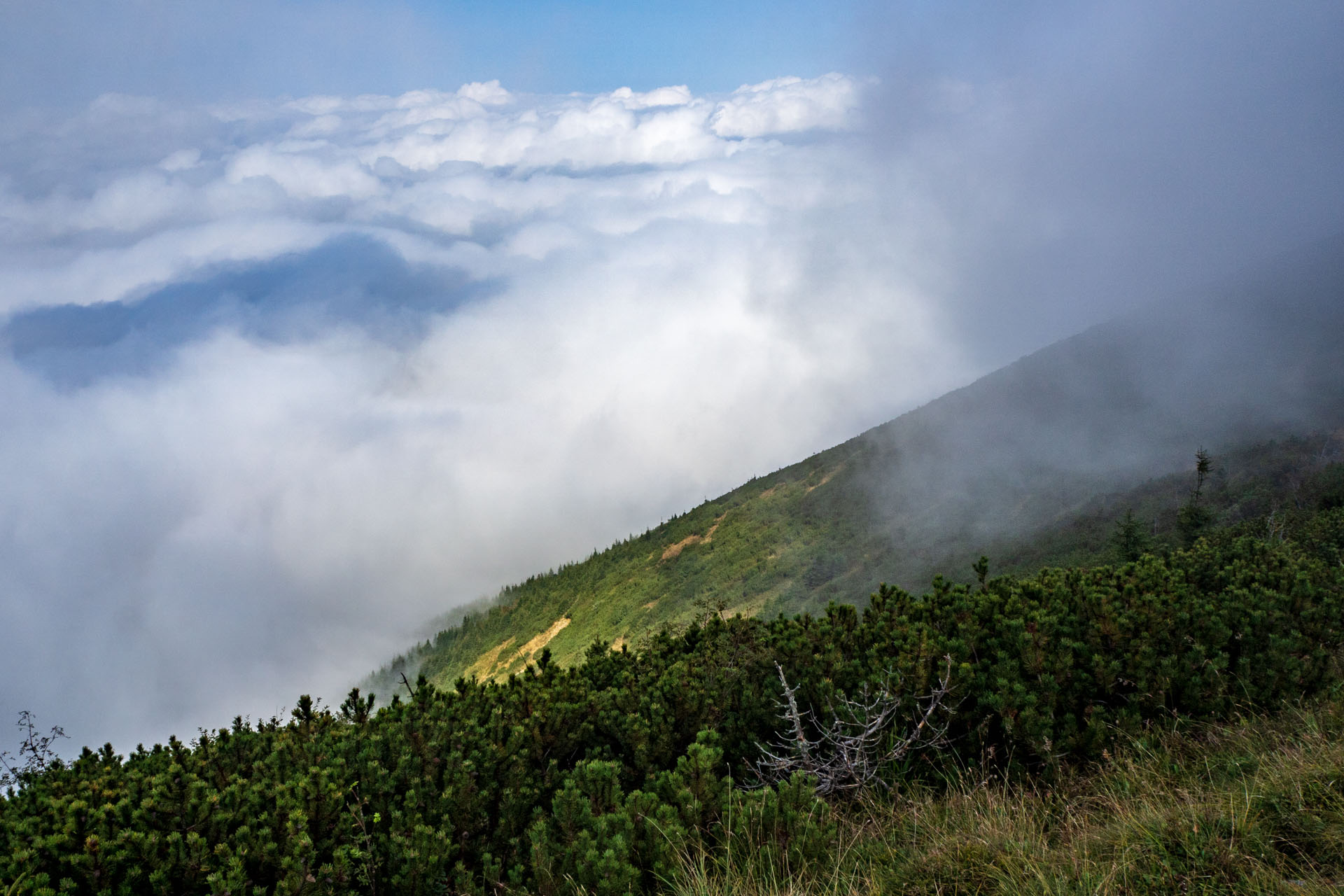 Stoh zo Snilovského sedla (Malá Fatra)