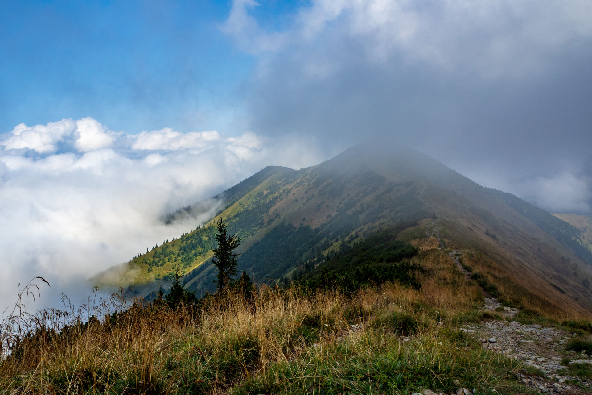 Stoh zo Snilovského sedla (Malá Fatra)