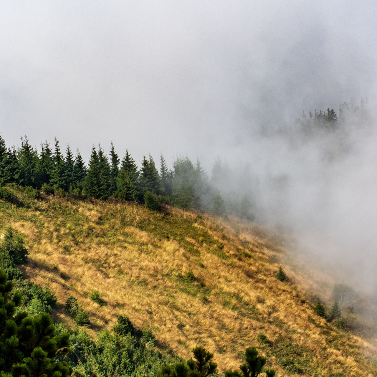 Stoh zo Snilovského sedla (Malá Fatra)