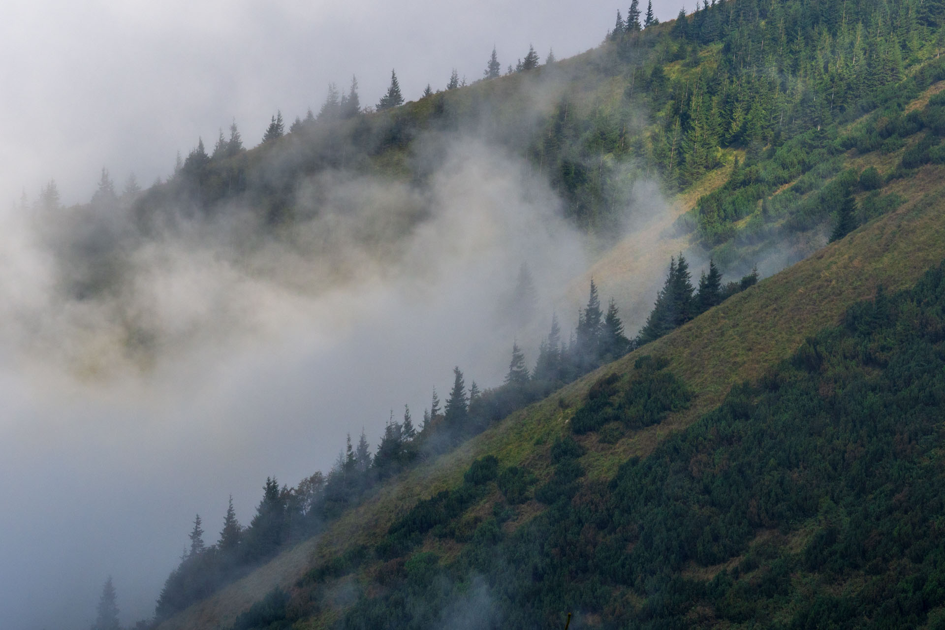 Stoh zo Snilovského sedla (Malá Fatra)