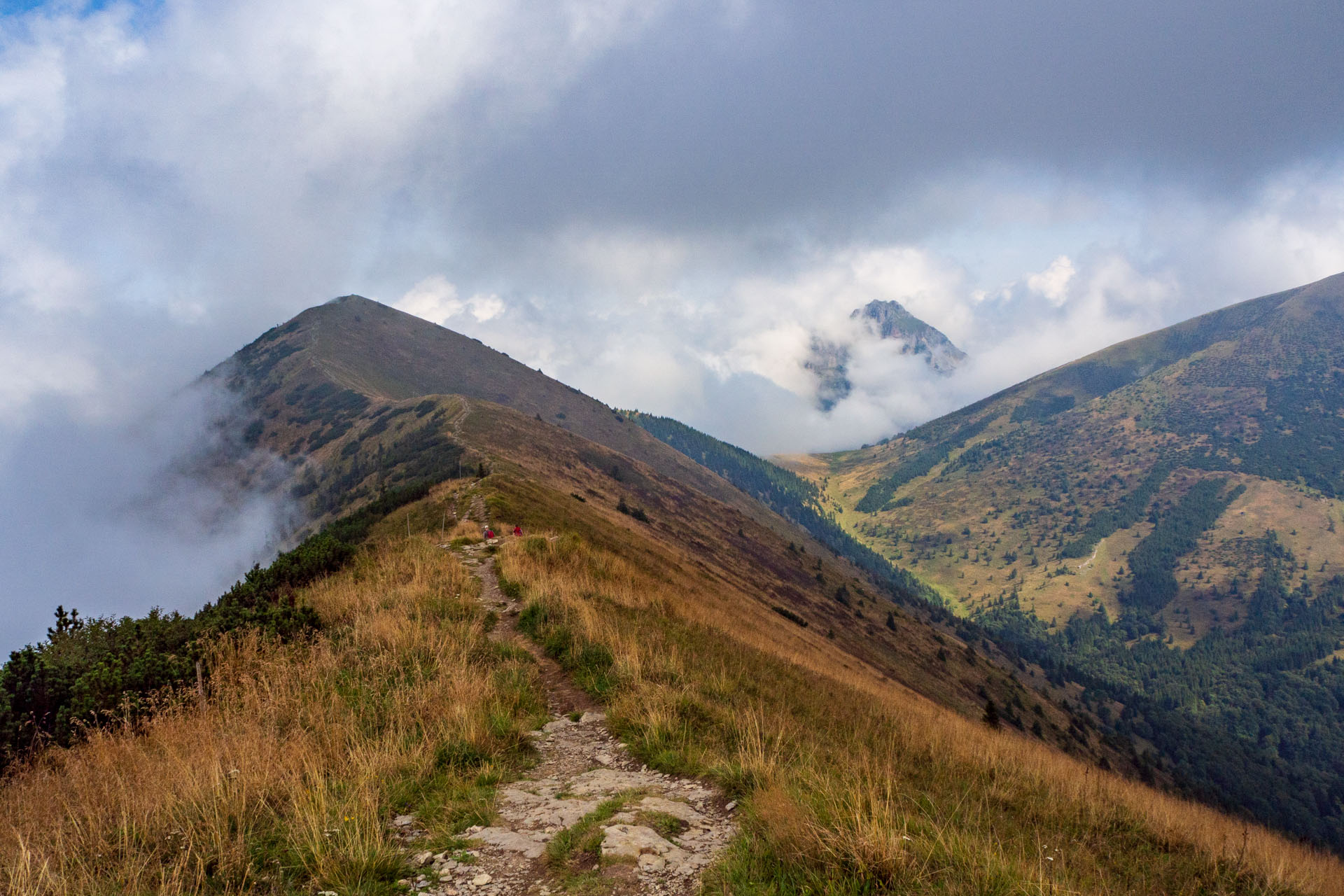 Stoh zo Snilovského sedla (Malá Fatra)