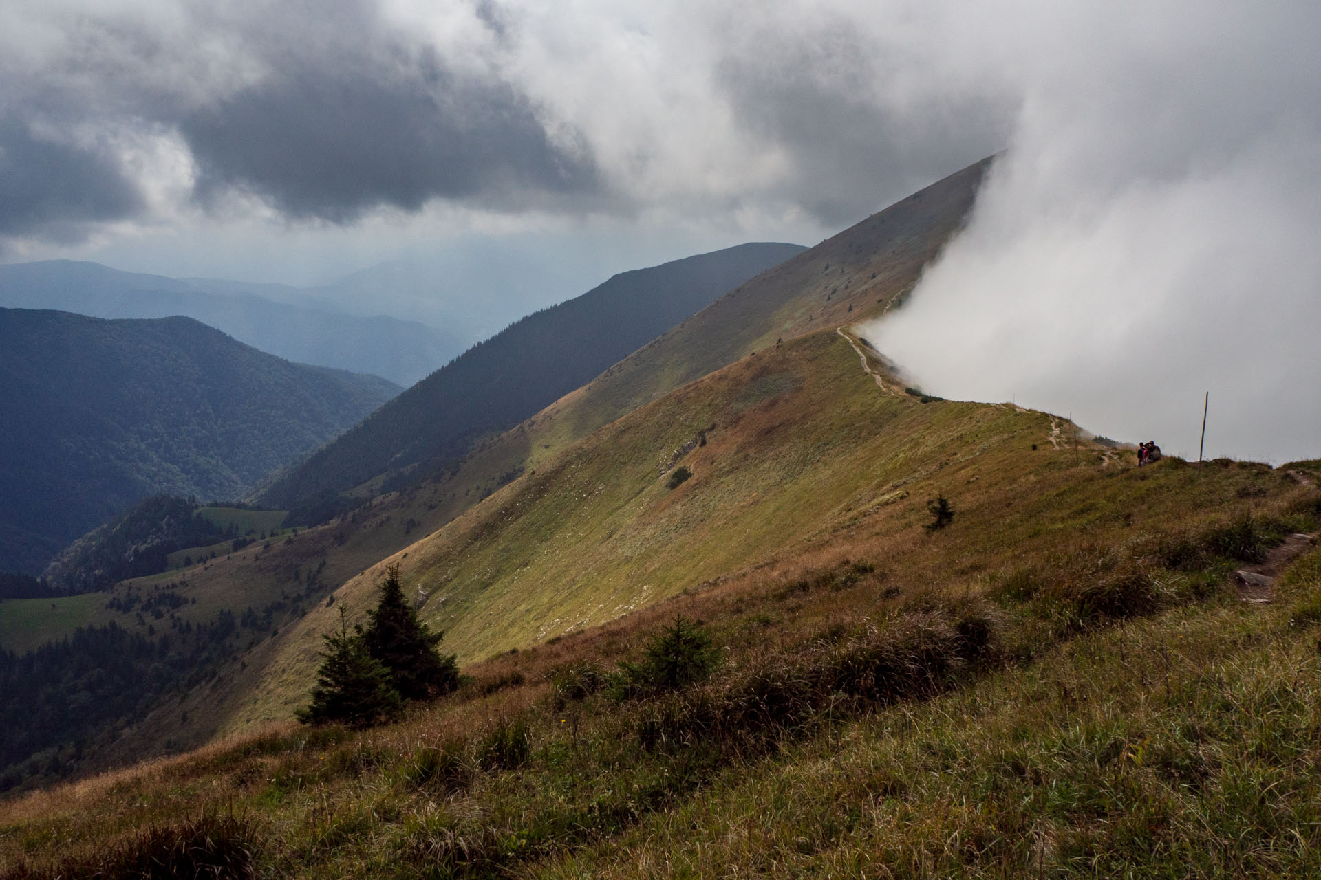 Stoh zo Snilovského sedla (Malá Fatra)