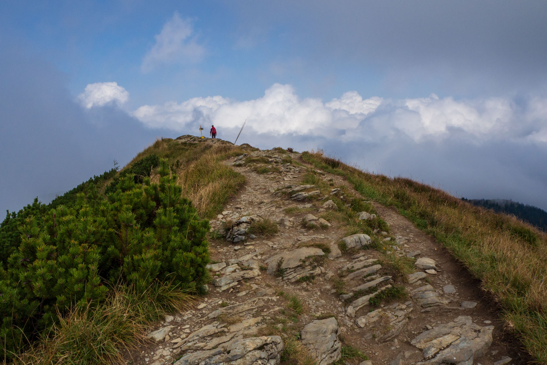 Stoh zo Snilovského sedla (Malá Fatra)