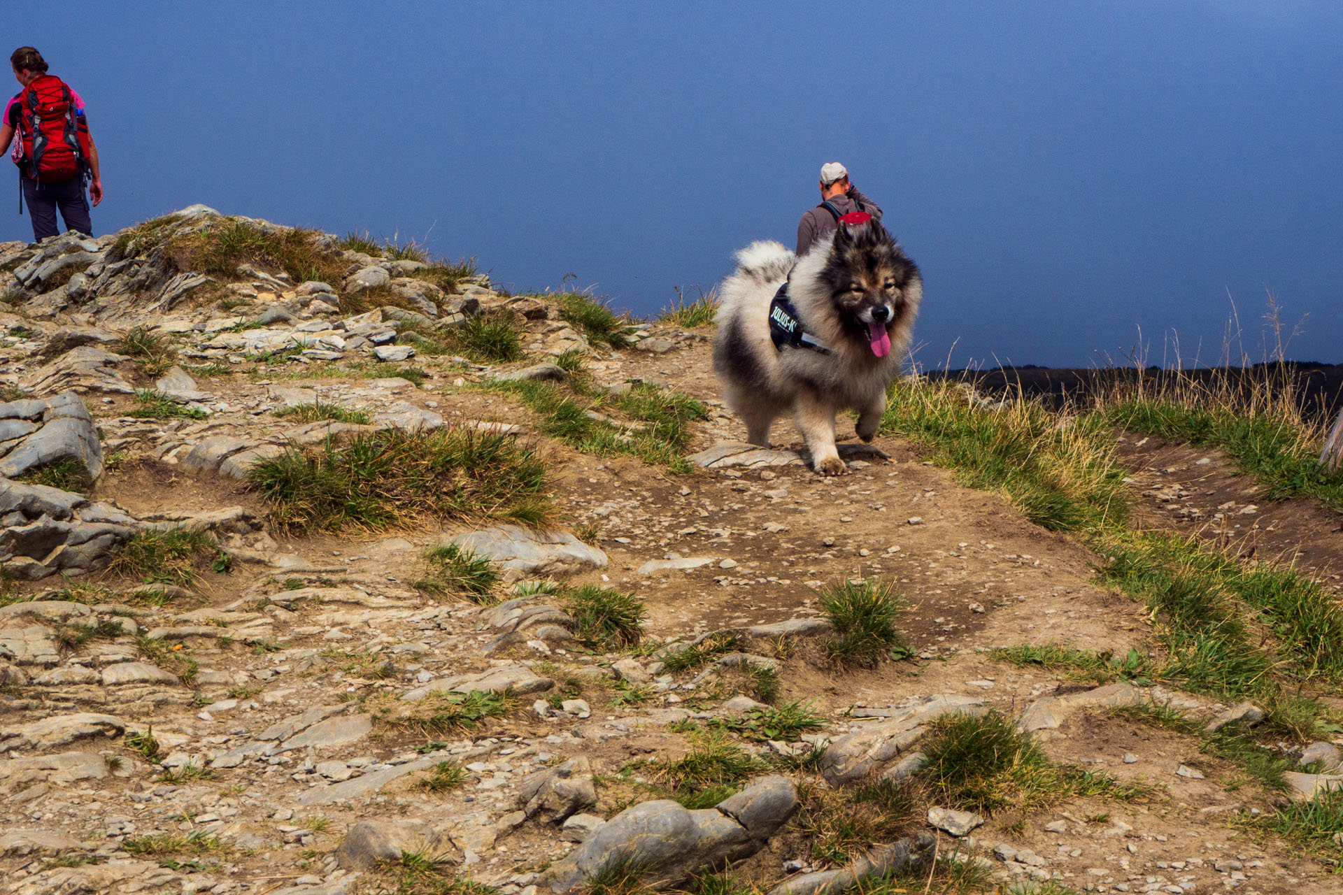 Stoh zo Snilovského sedla (Malá Fatra)