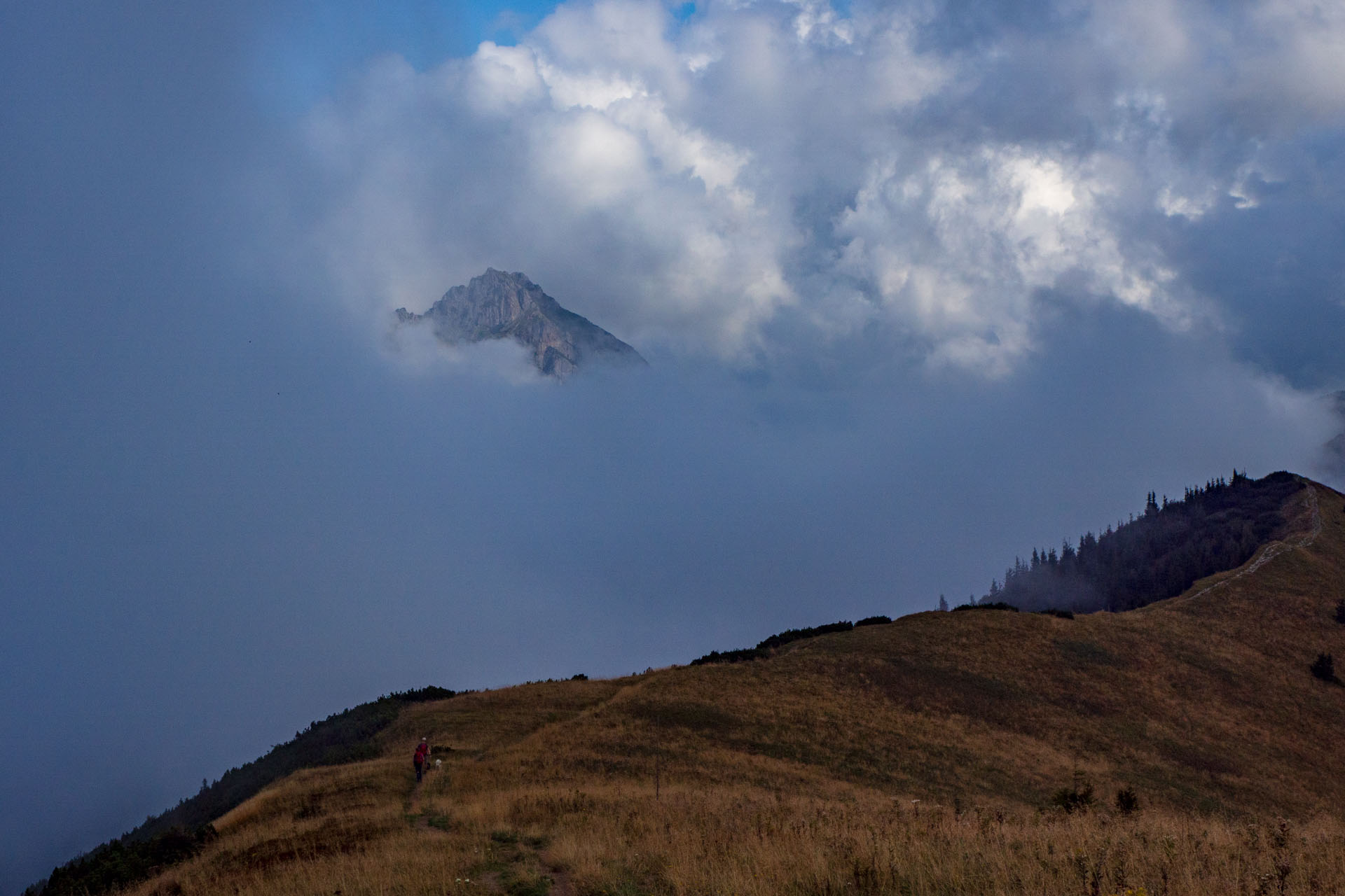 Stoh zo Snilovského sedla (Malá Fatra)