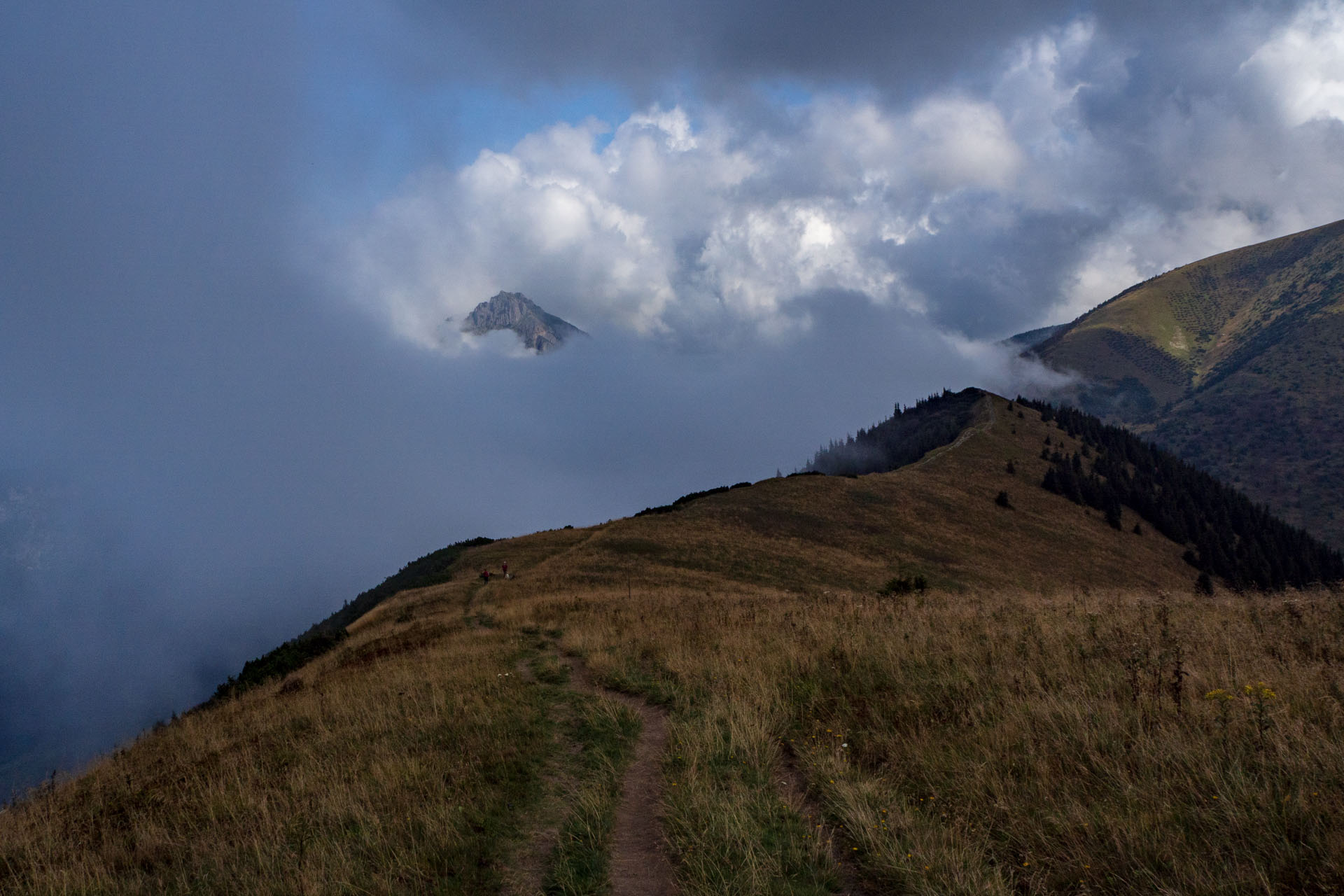 Stoh zo Snilovského sedla (Malá Fatra)