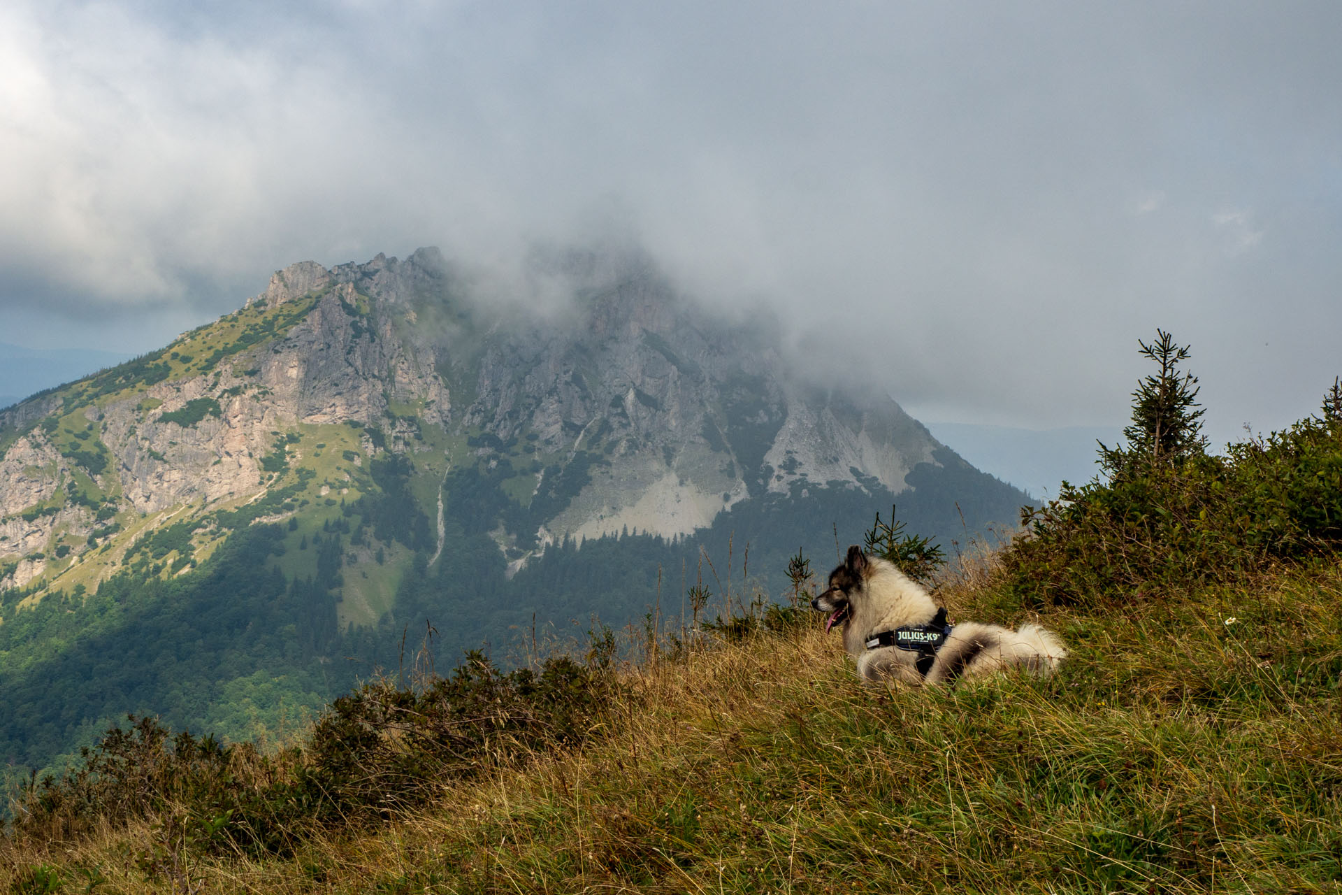 Stoh zo Snilovského sedla (Malá Fatra)