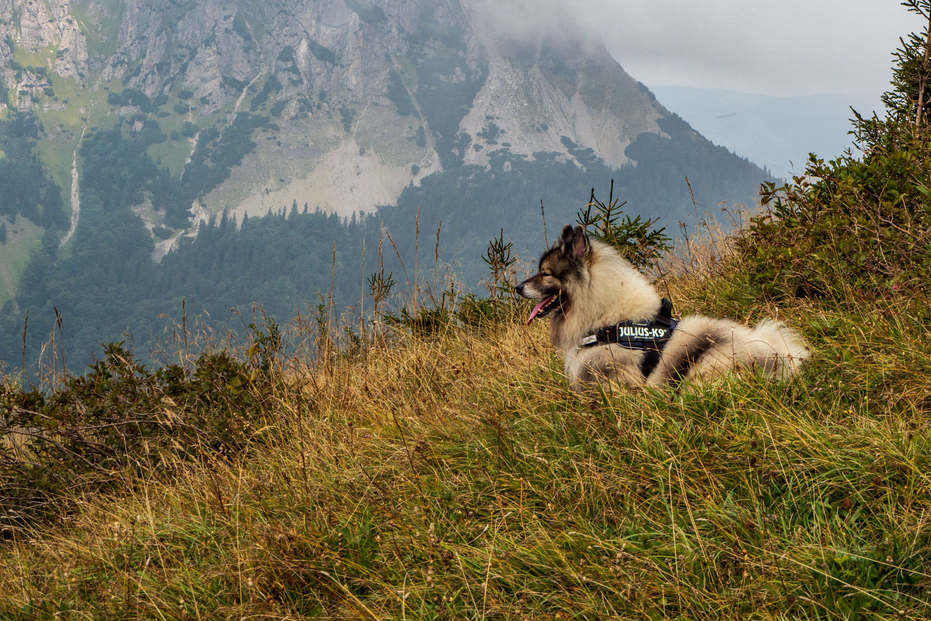 Stoh zo Snilovského sedla (Malá Fatra)