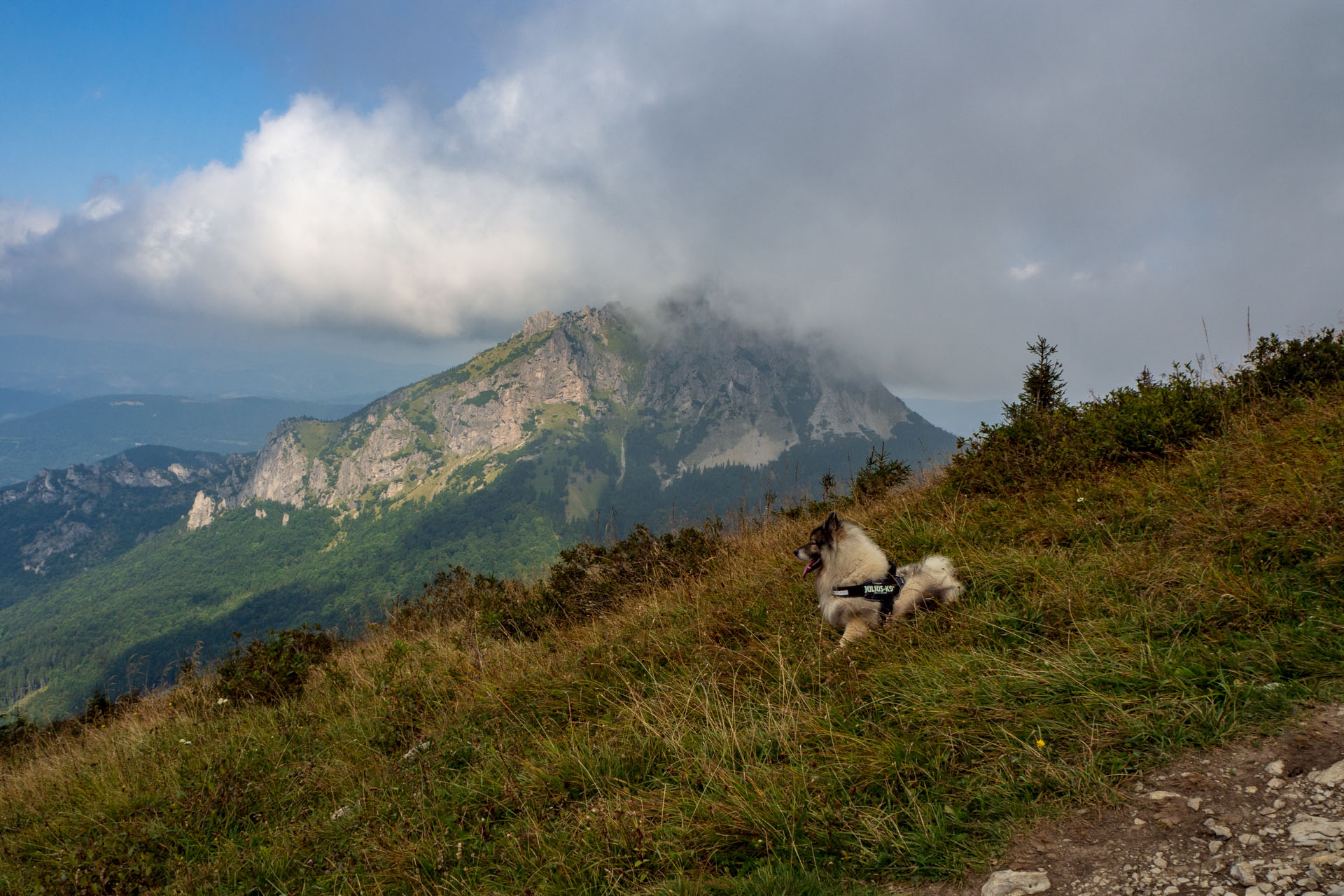 Stoh zo Snilovského sedla (Malá Fatra)