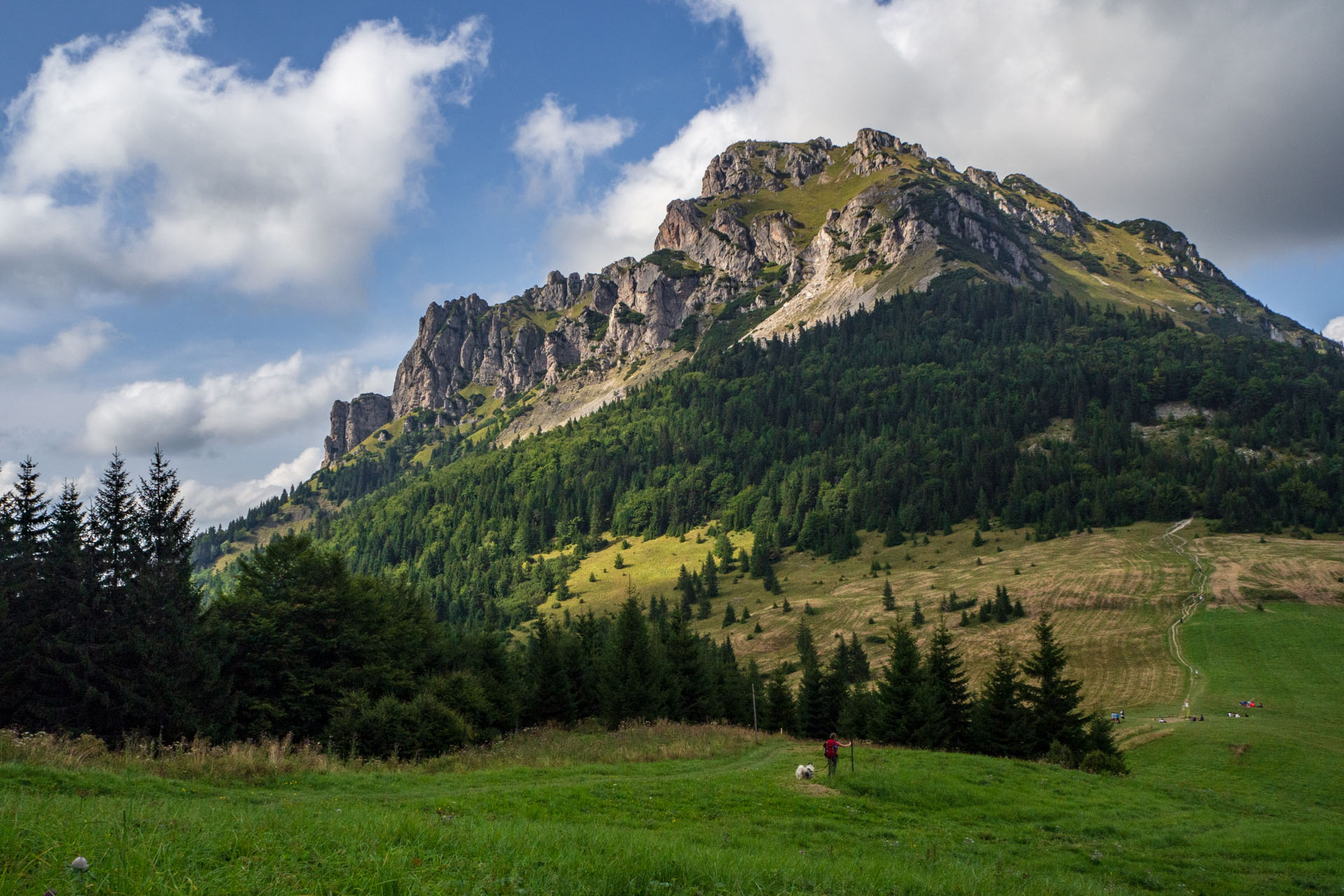 Stoh zo Snilovského sedla (Malá Fatra)