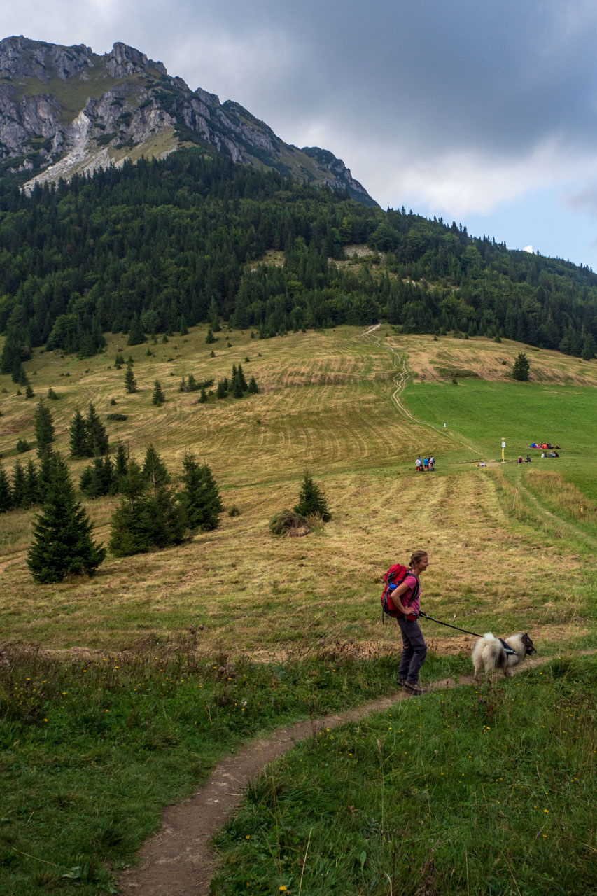 Stoh zo Snilovského sedla (Malá Fatra)