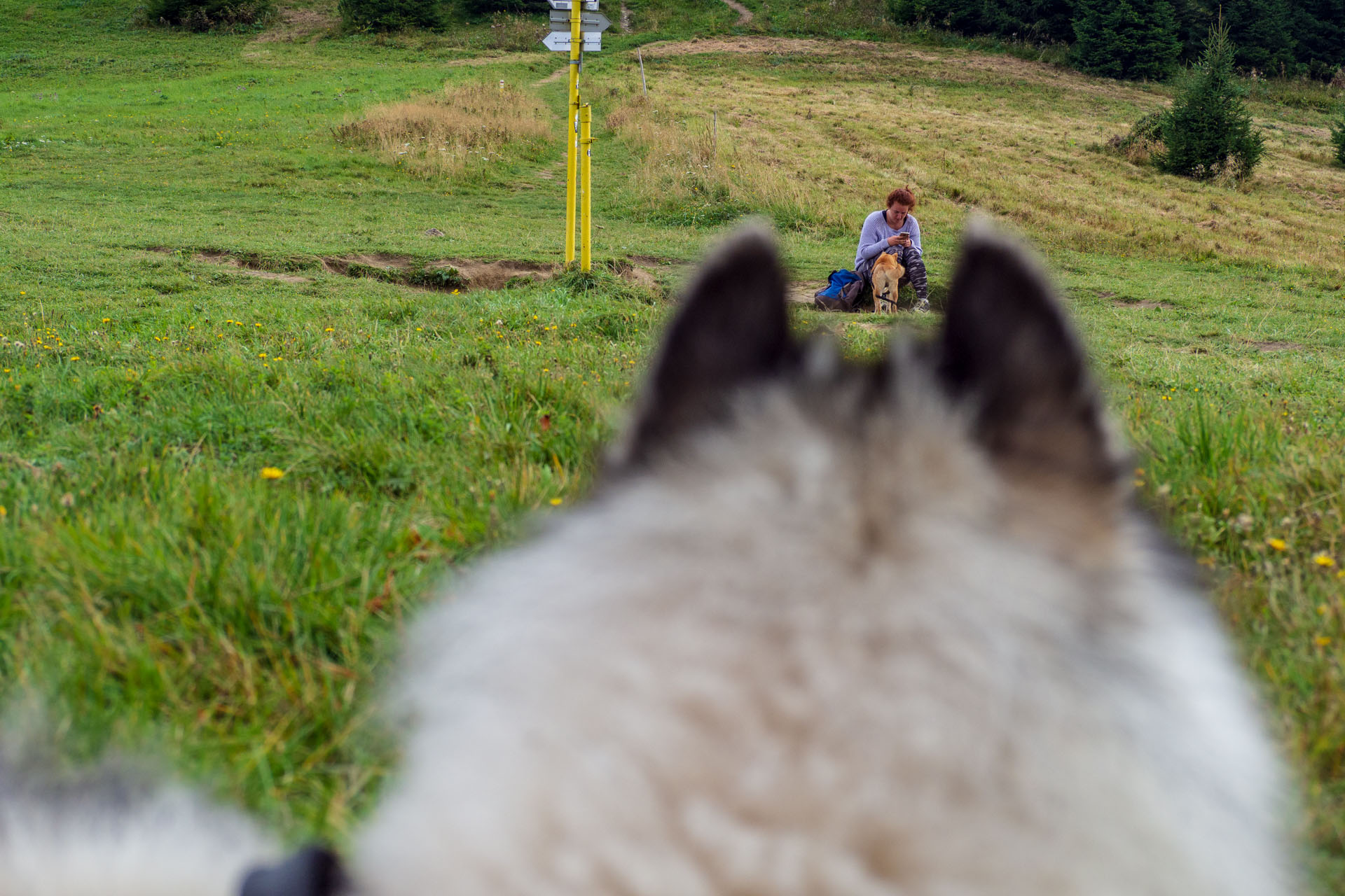 Stoh zo Snilovského sedla (Malá Fatra)