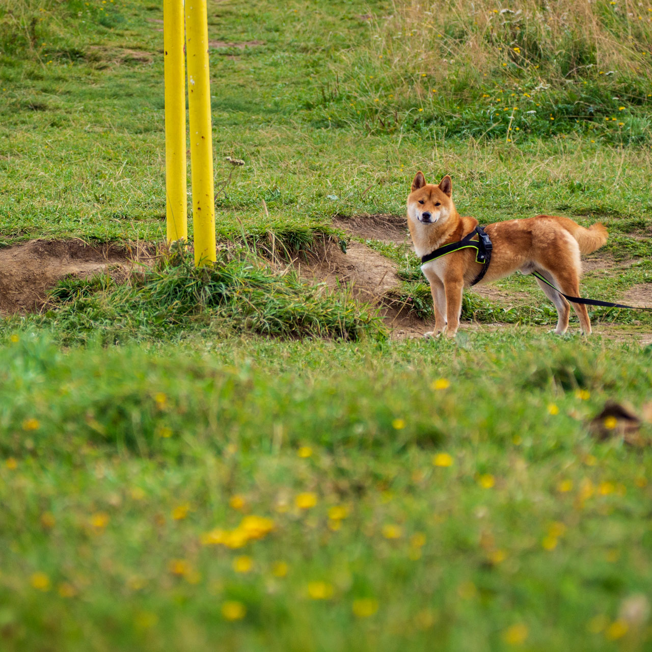 Stoh zo Snilovského sedla (Malá Fatra)