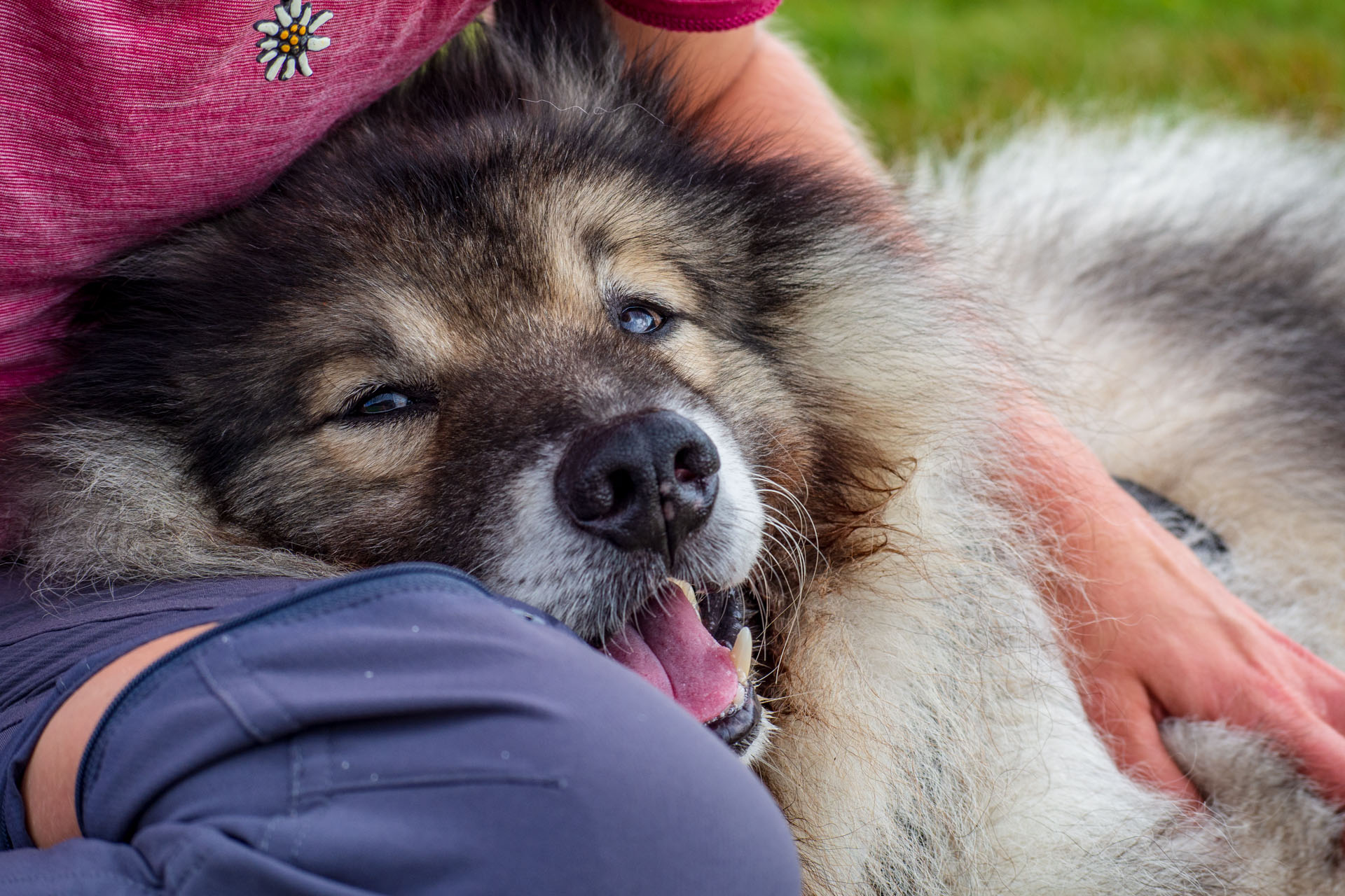 Stoh zo Snilovského sedla (Malá Fatra)