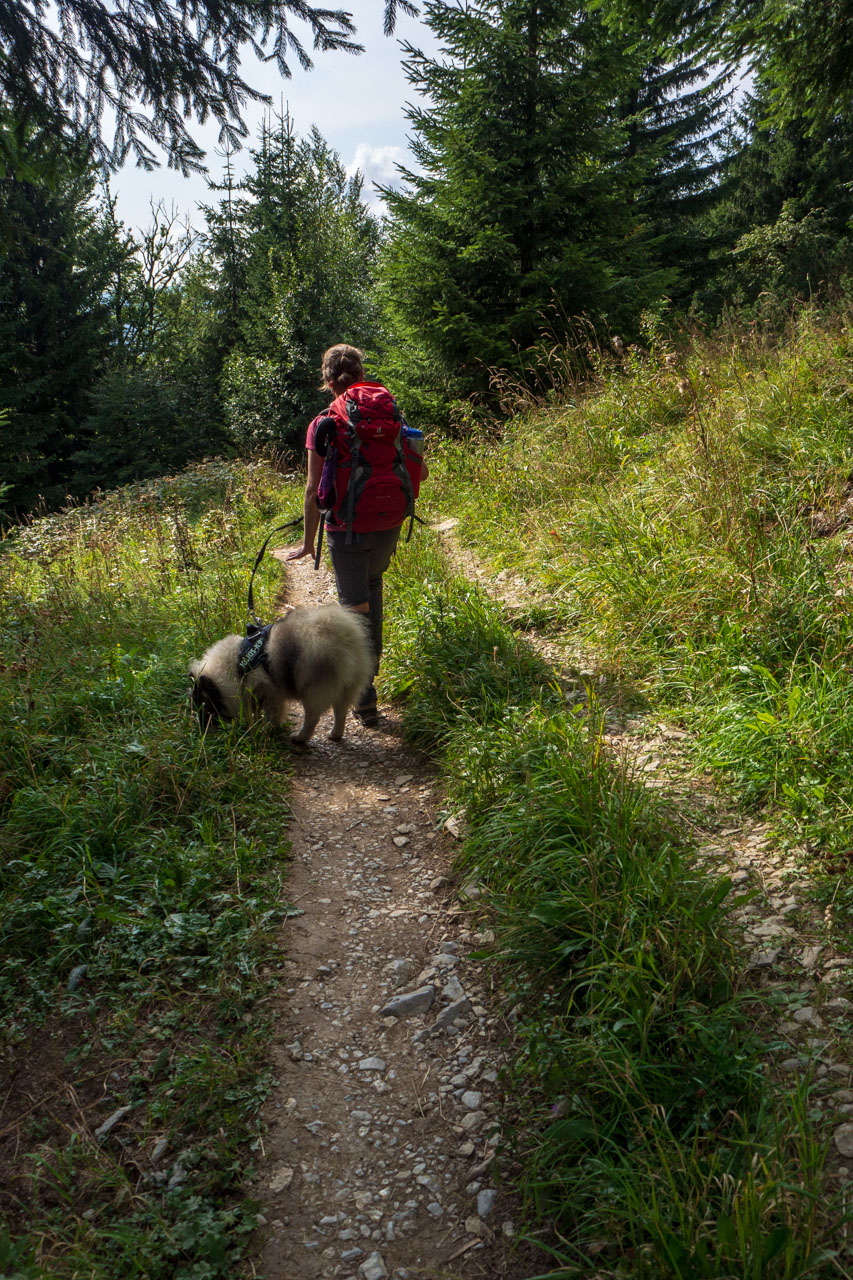 Stoh zo Snilovského sedla (Malá Fatra)