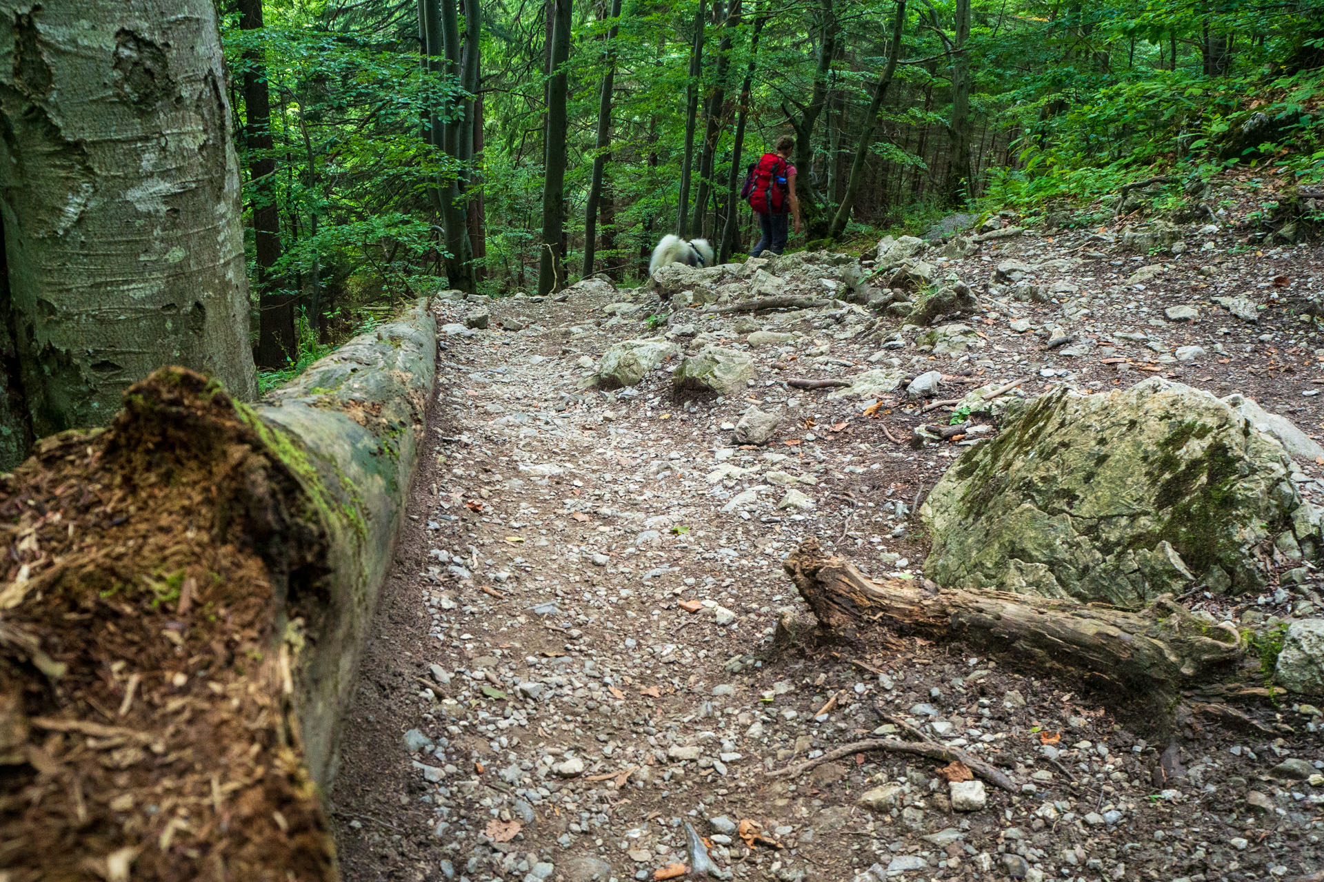 Stoh zo Snilovského sedla (Malá Fatra)