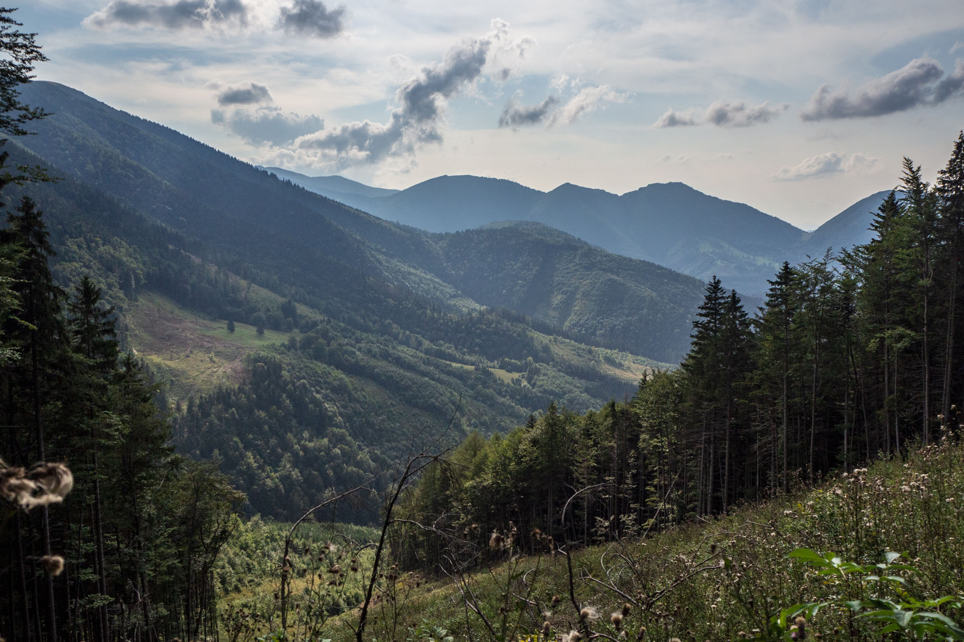 Stoh zo Snilovského sedla (Malá Fatra)