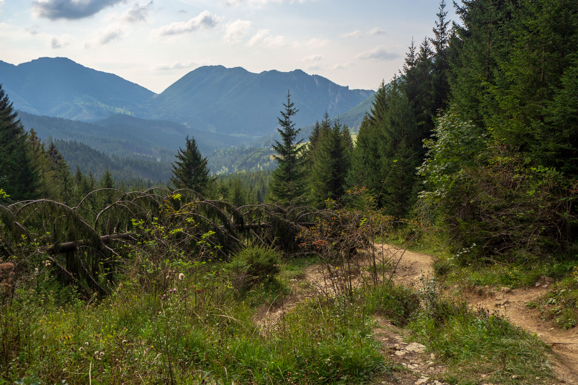 Stoh zo Snilovského sedla (Malá Fatra)