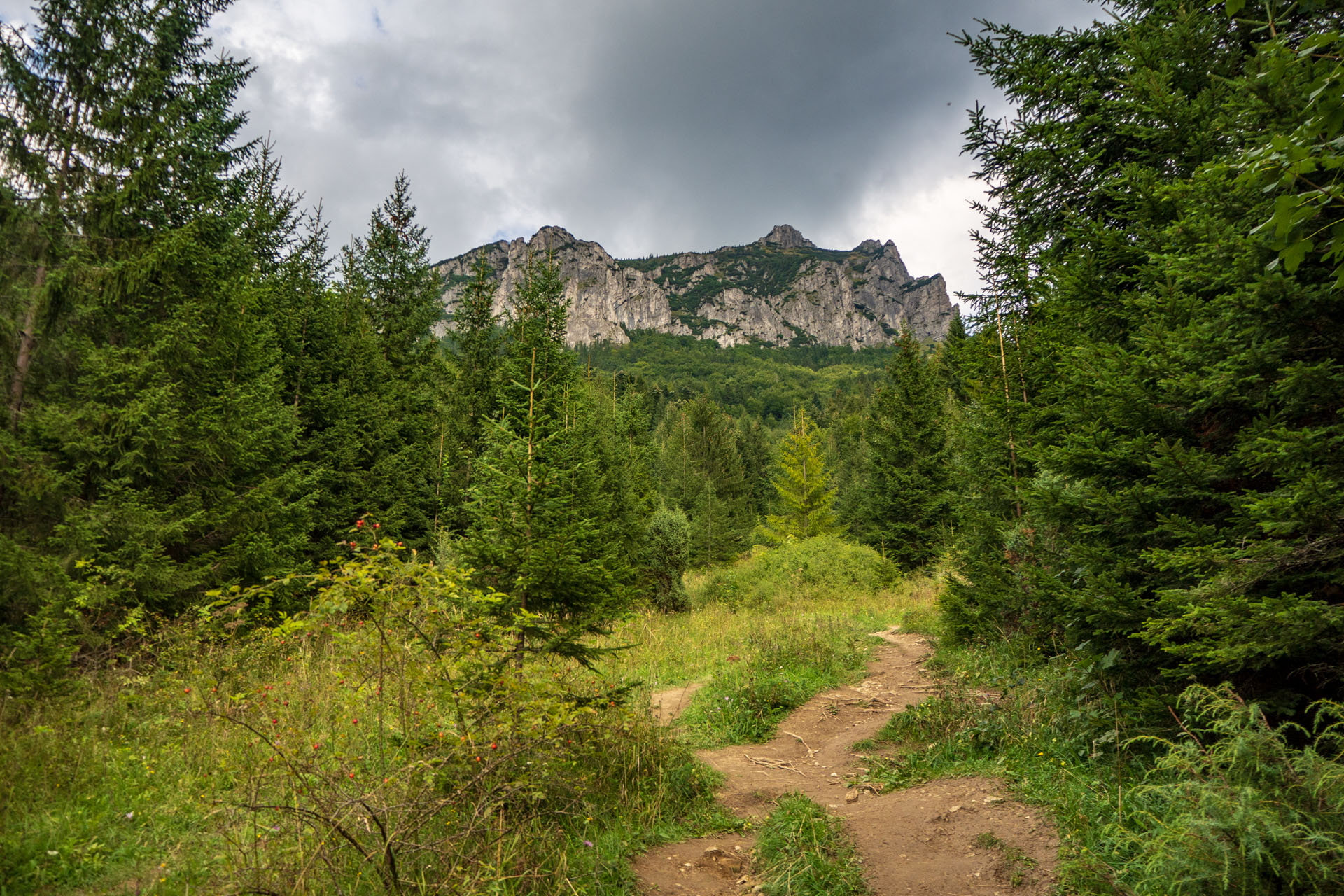 Stoh zo Snilovského sedla (Malá Fatra)