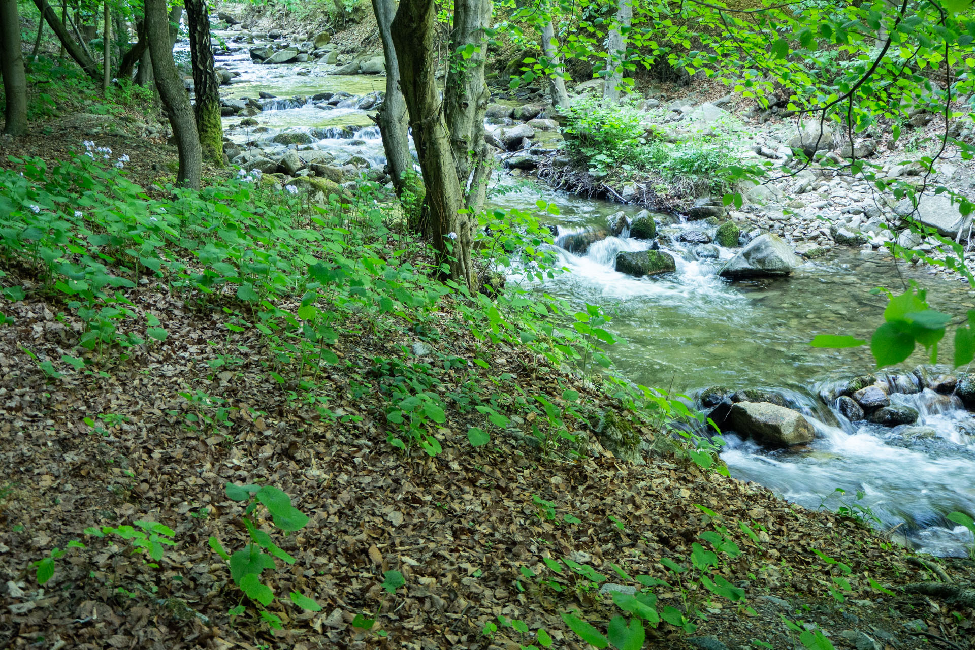 Šútovský vodopád a Chata pod Chlebom z Rieky (Malá Fatra)