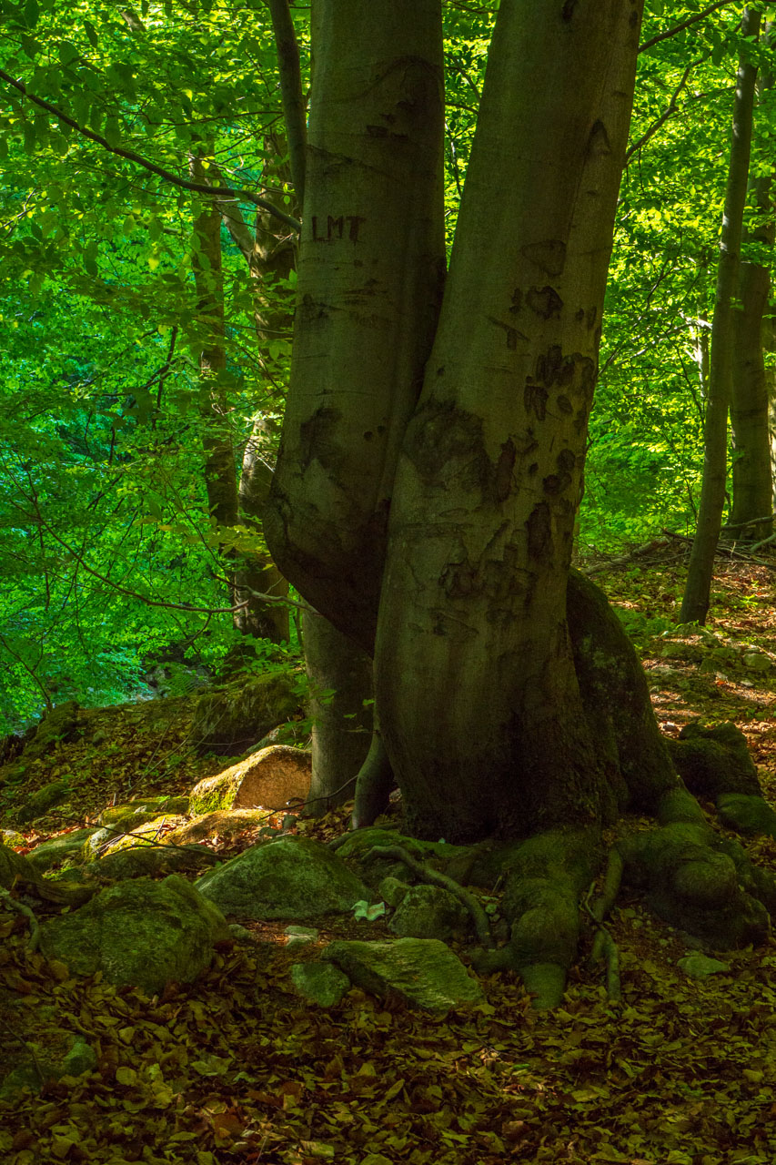 Šútovský vodopád a Chata pod Chlebom z Rieky (Malá Fatra)