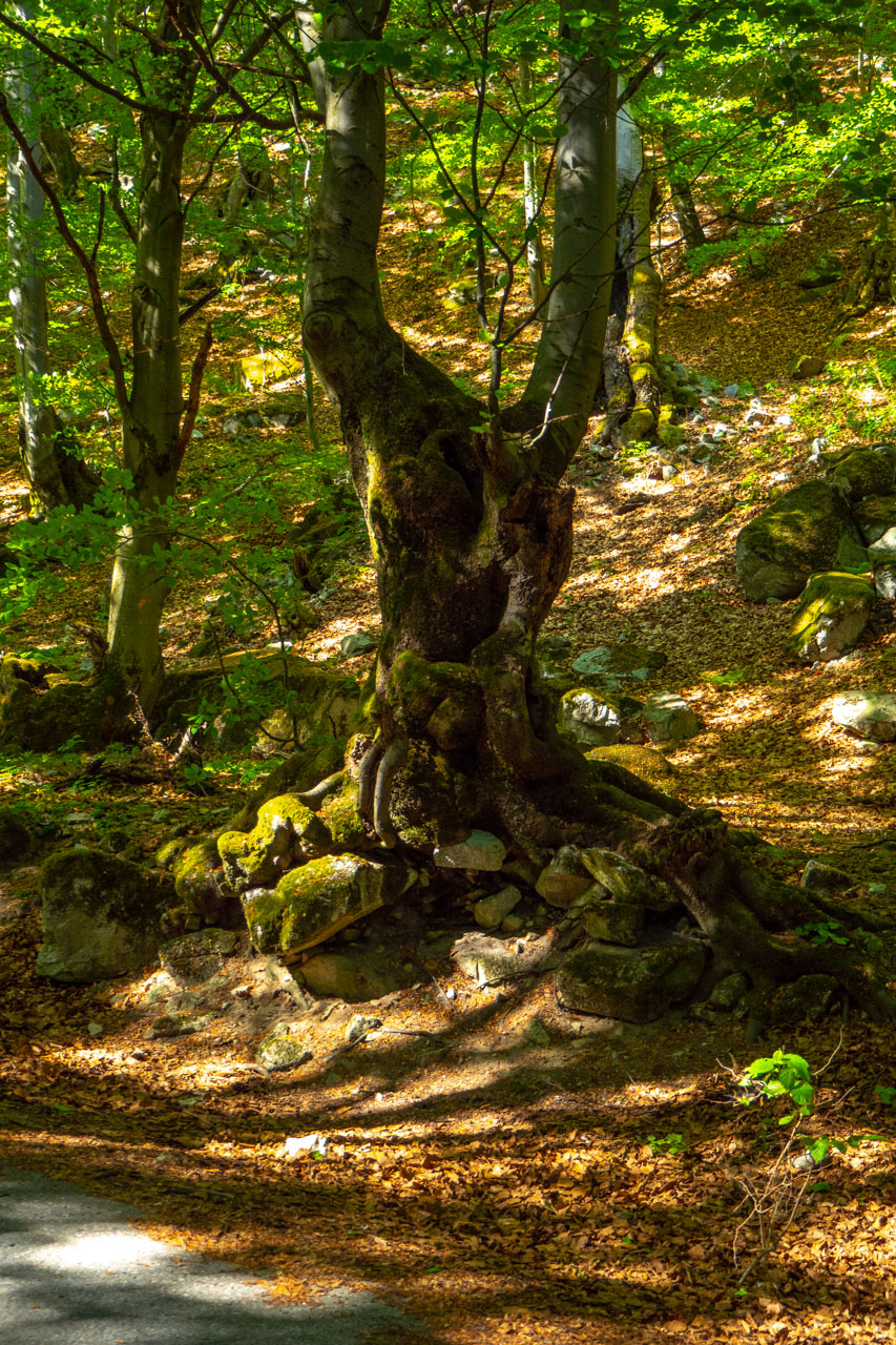 Šútovský vodopád a Chata pod Chlebom z Rieky (Malá Fatra)