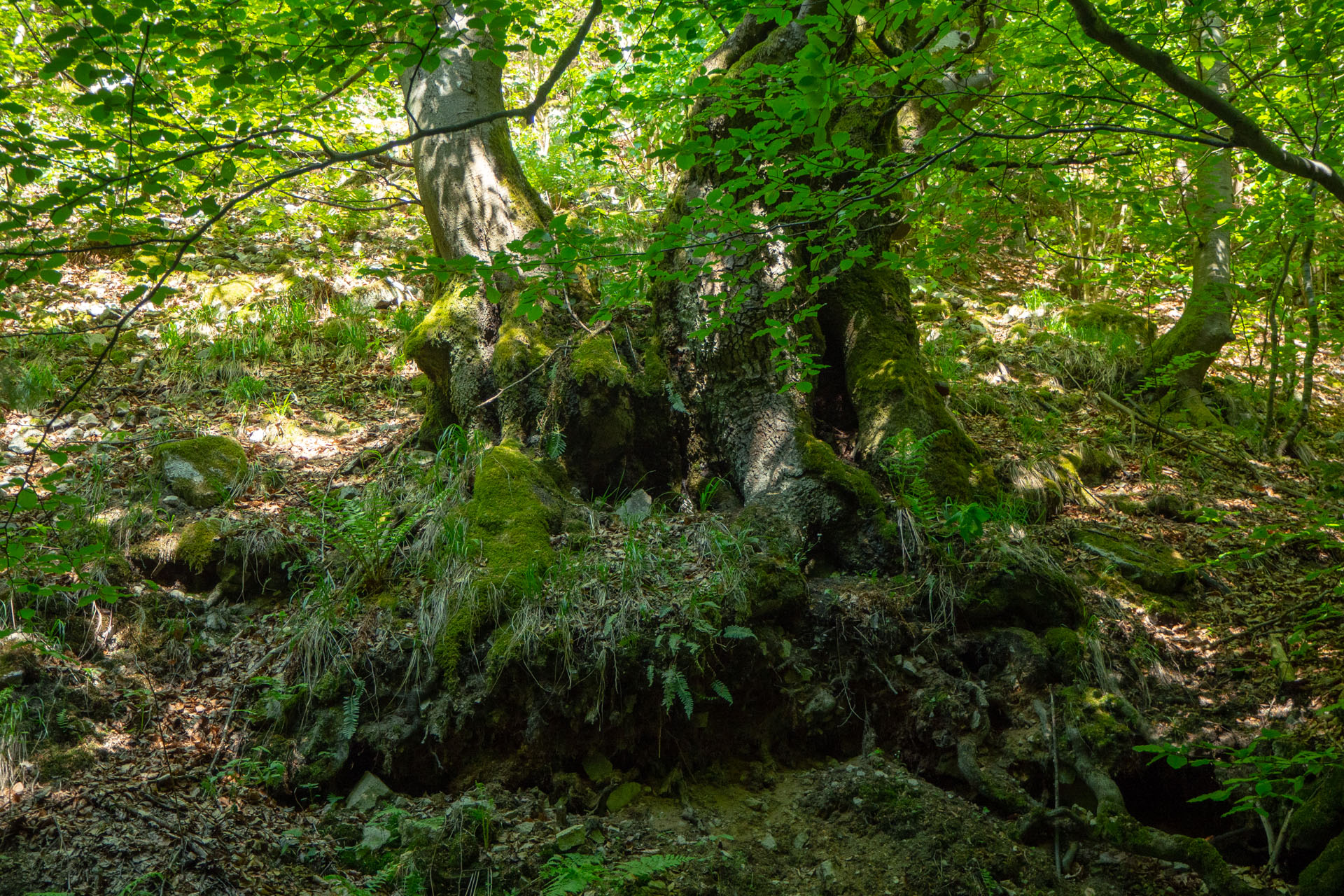 Šútovský vodopád a Chata pod Chlebom z Rieky (Malá Fatra)