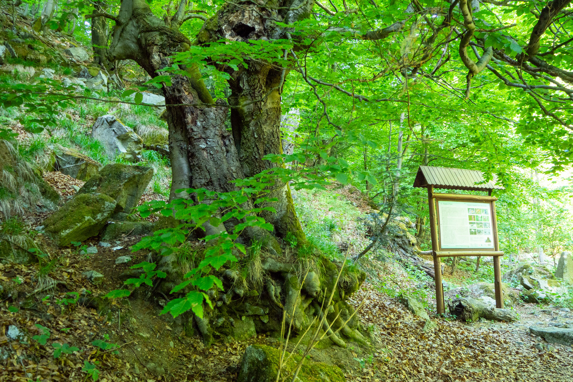 Šútovský vodopád a Chata pod Chlebom z Rieky (Malá Fatra)