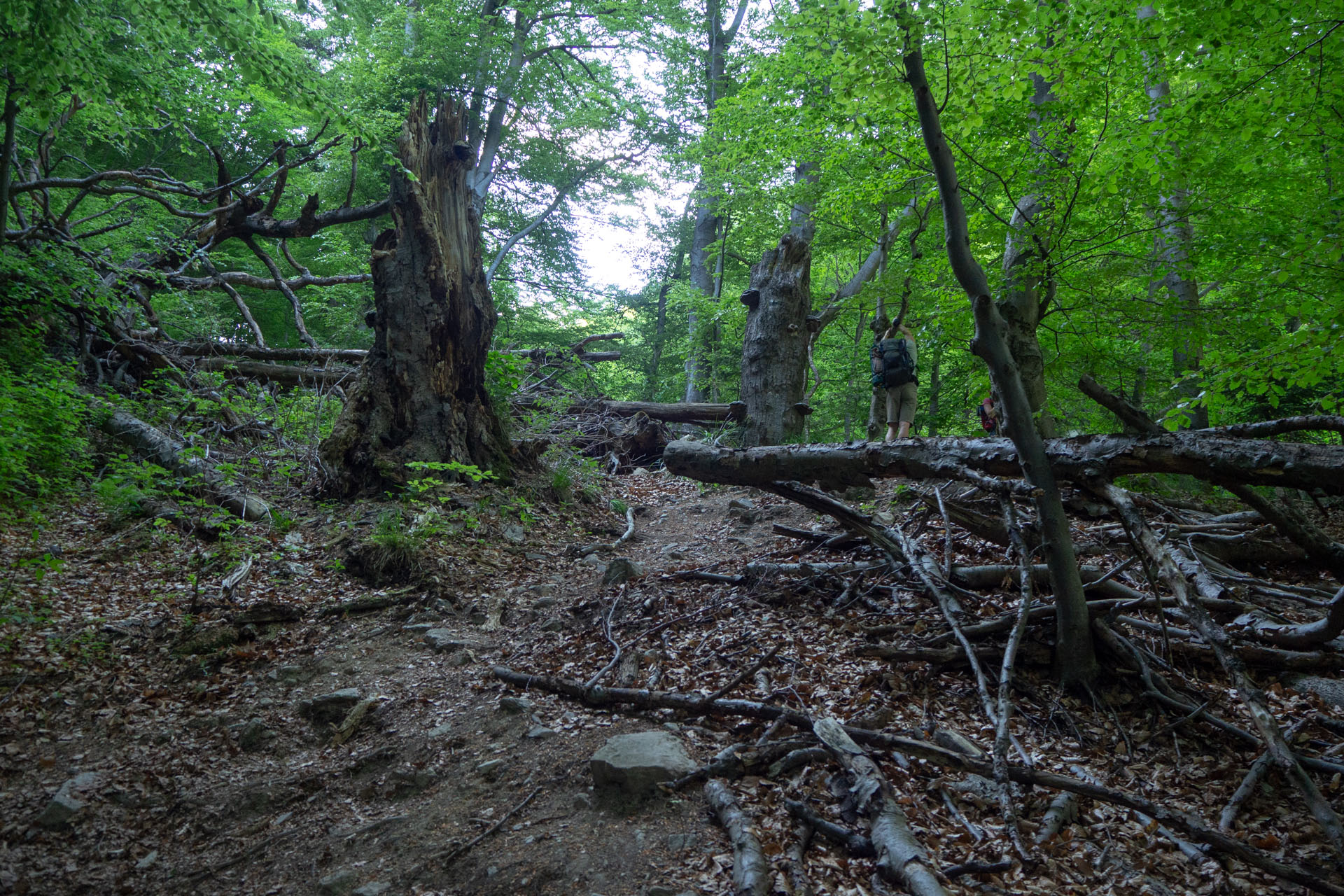 Šútovský vodopád a Chata pod Chlebom z Rieky (Malá Fatra)