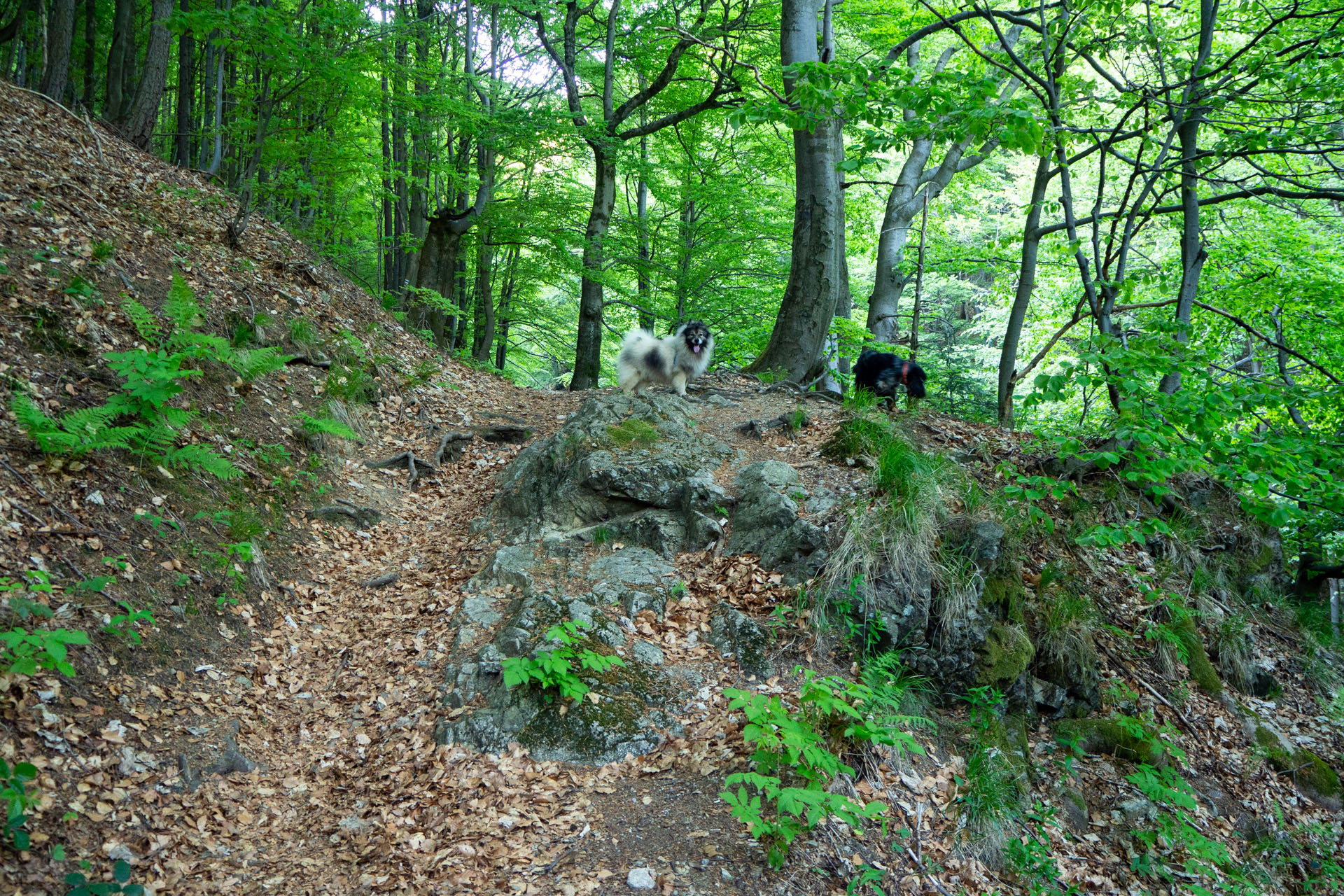 Šútovský vodopád a Chata pod Chlebom z Rieky (Malá Fatra)