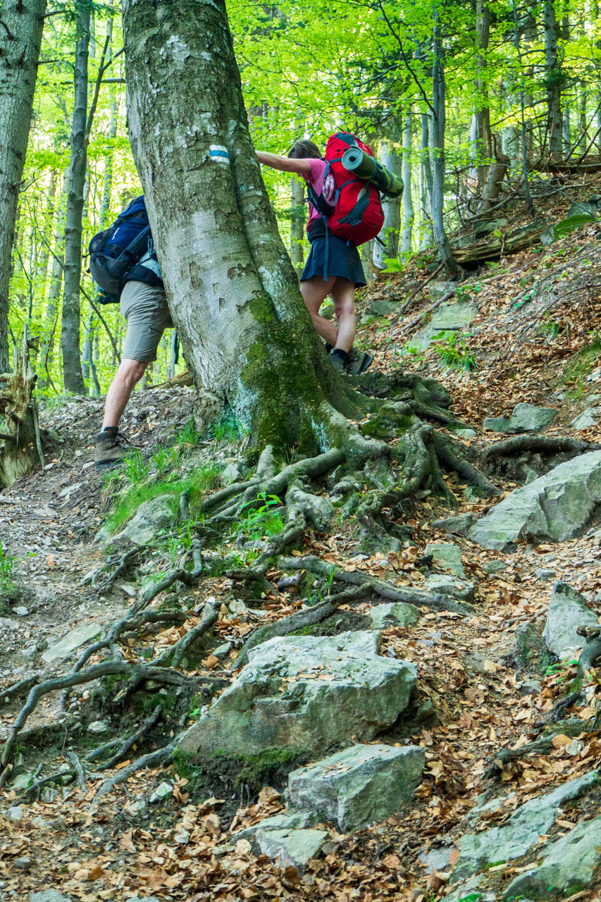 Šútovský vodopád a Chata pod Chlebom z Rieky (Malá Fatra)