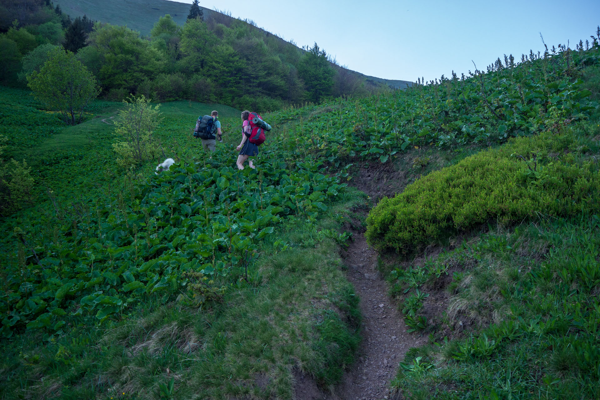 Šútovský vodopád a Chata pod Chlebom z Rieky (Malá Fatra)