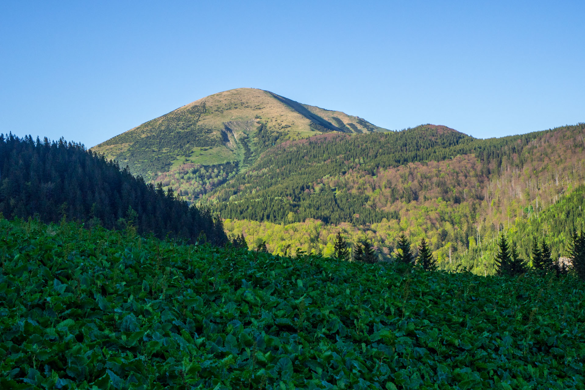 Šútovský vodopád a Chata pod Chlebom z Rieky (Malá Fatra)