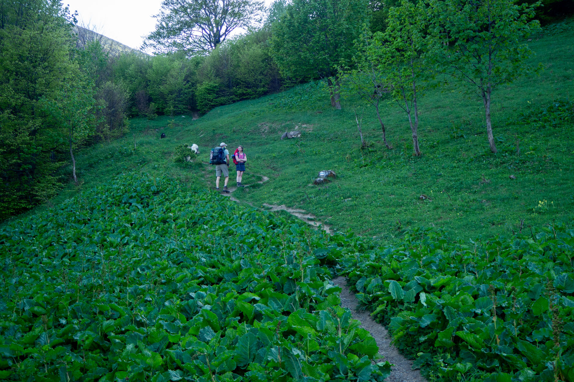 Šútovský vodopád a Chata pod Chlebom z Rieky (Malá Fatra)