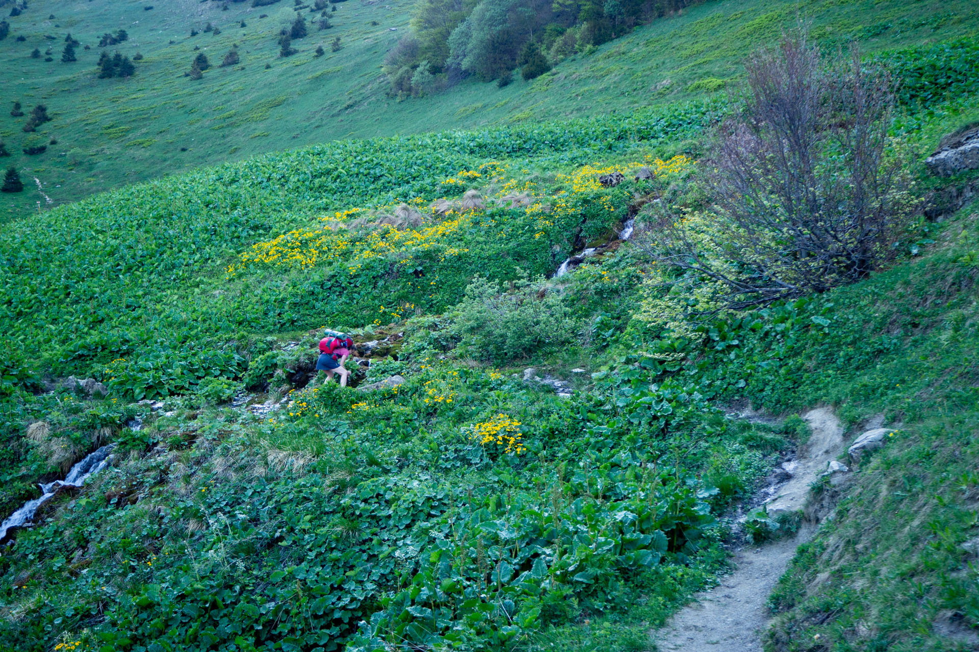 Šútovský vodopád a Chata pod Chlebom z Rieky (Malá Fatra)