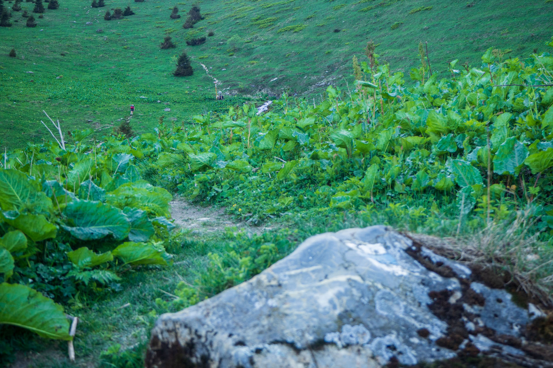 Šútovský vodopád a Chata pod Chlebom z Rieky (Malá Fatra)