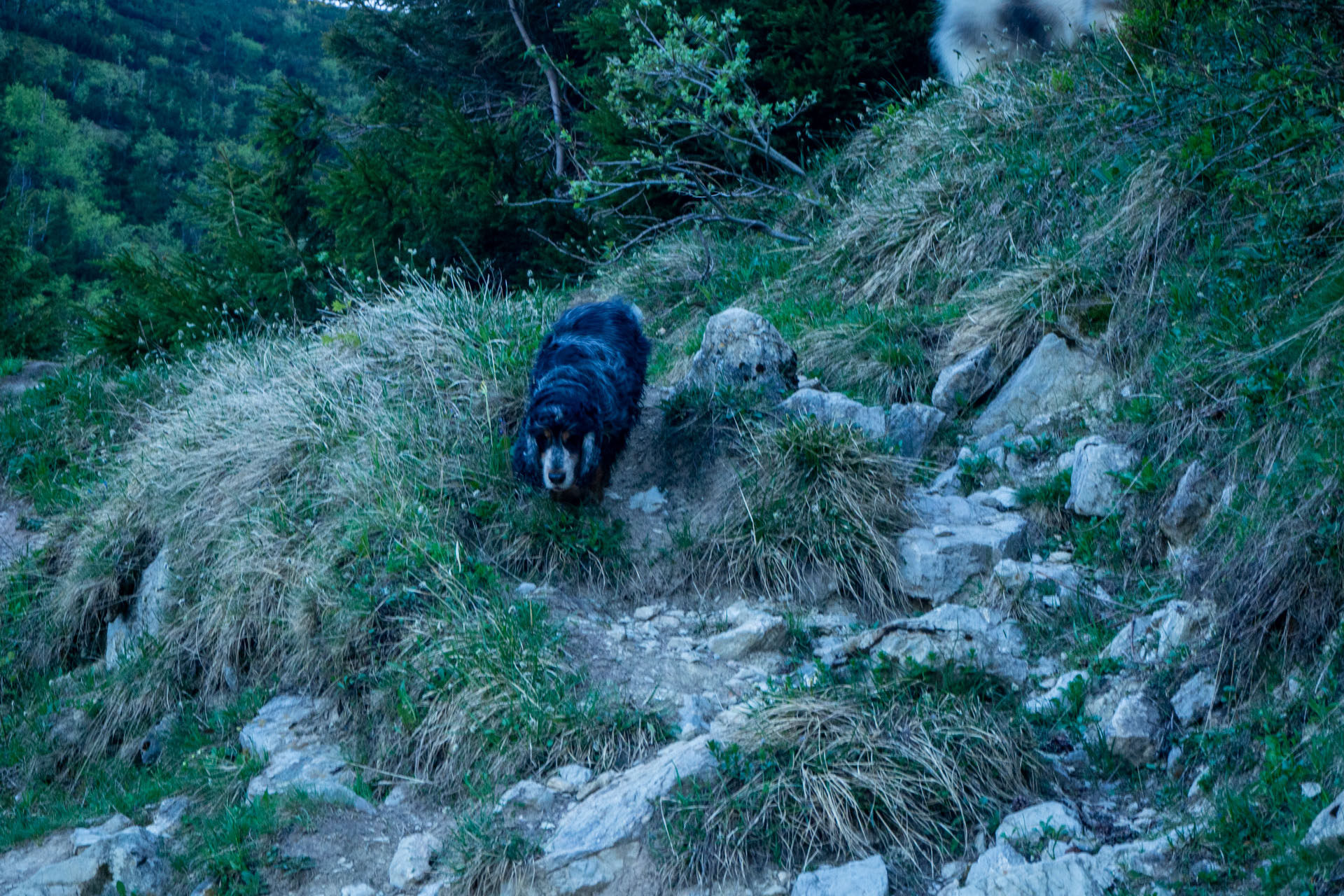 Šútovský vodopád a Chata pod Chlebom z Rieky (Malá Fatra)