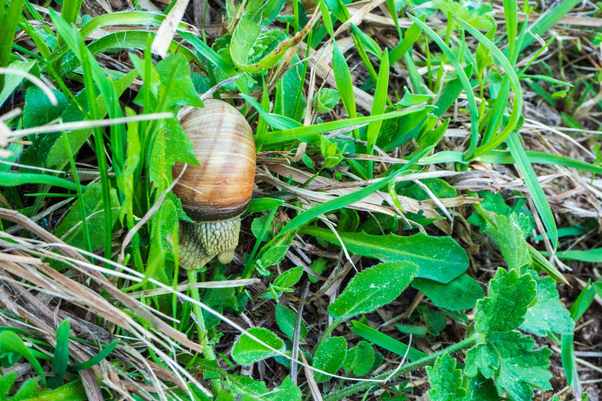 Šútovský vodopád a Chata pod Chlebom z Rieky (Malá Fatra)