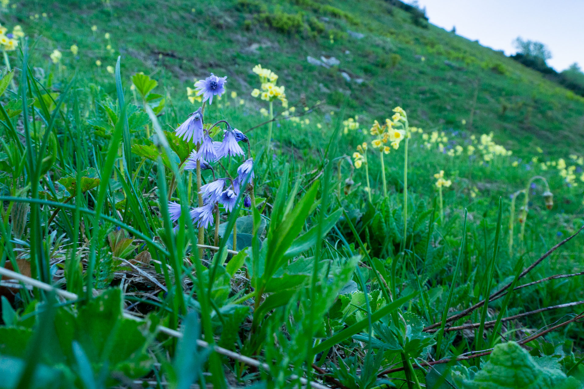 Šútovský vodopád a Chata pod Chlebom z Rieky (Malá Fatra)