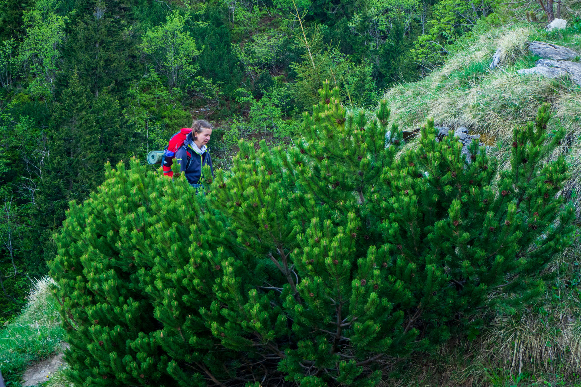 Šútovský vodopád a Chata pod Chlebom z Rieky (Malá Fatra)