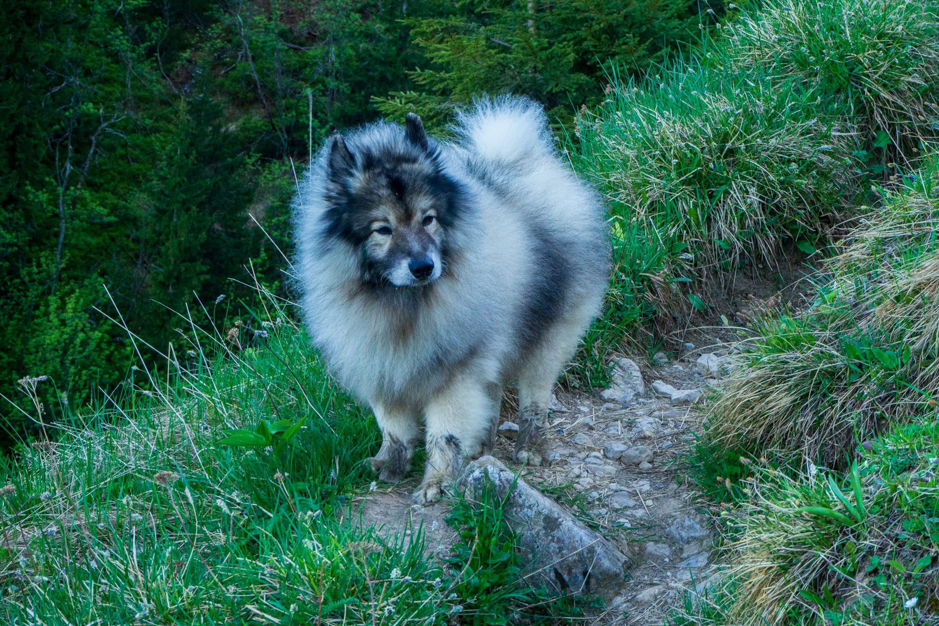 Šútovský vodopád a Chata pod Chlebom z Rieky (Malá Fatra)