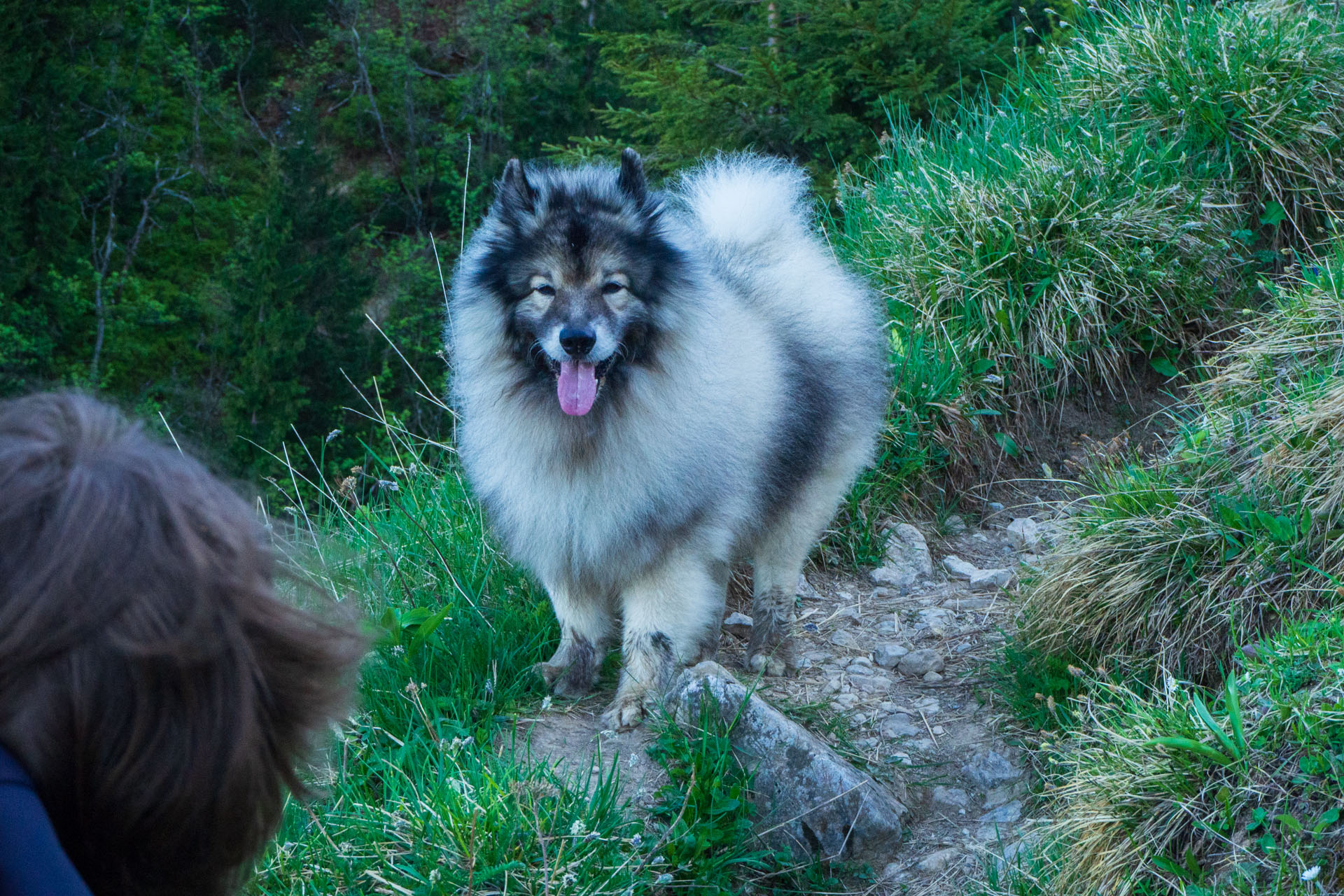 Šútovský vodopád a Chata pod Chlebom z Rieky (Malá Fatra)