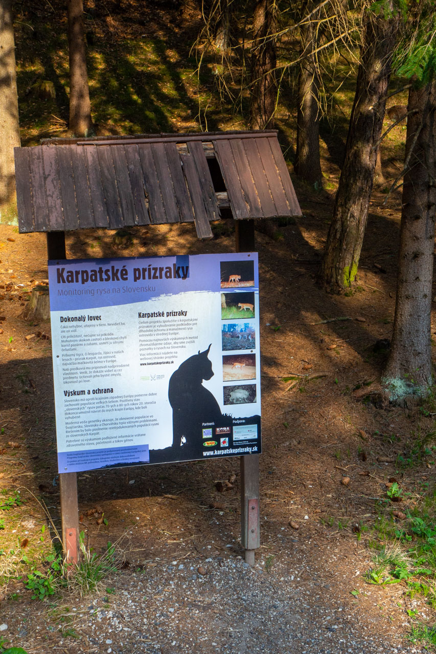 Tlstá a Ostrá z Konského dolu, ústia (Veľká Fatra)