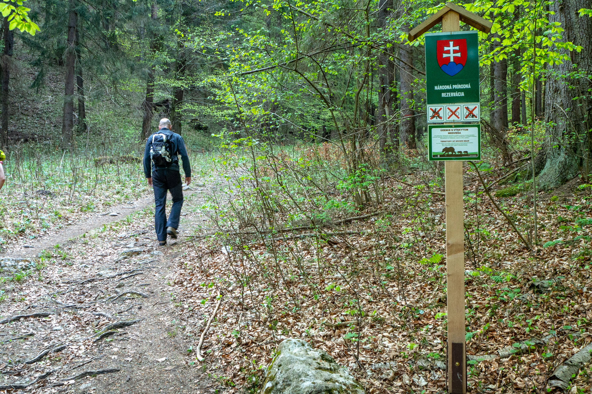 Tlstá a Ostrá z Konského dolu, ústia (Veľká Fatra)