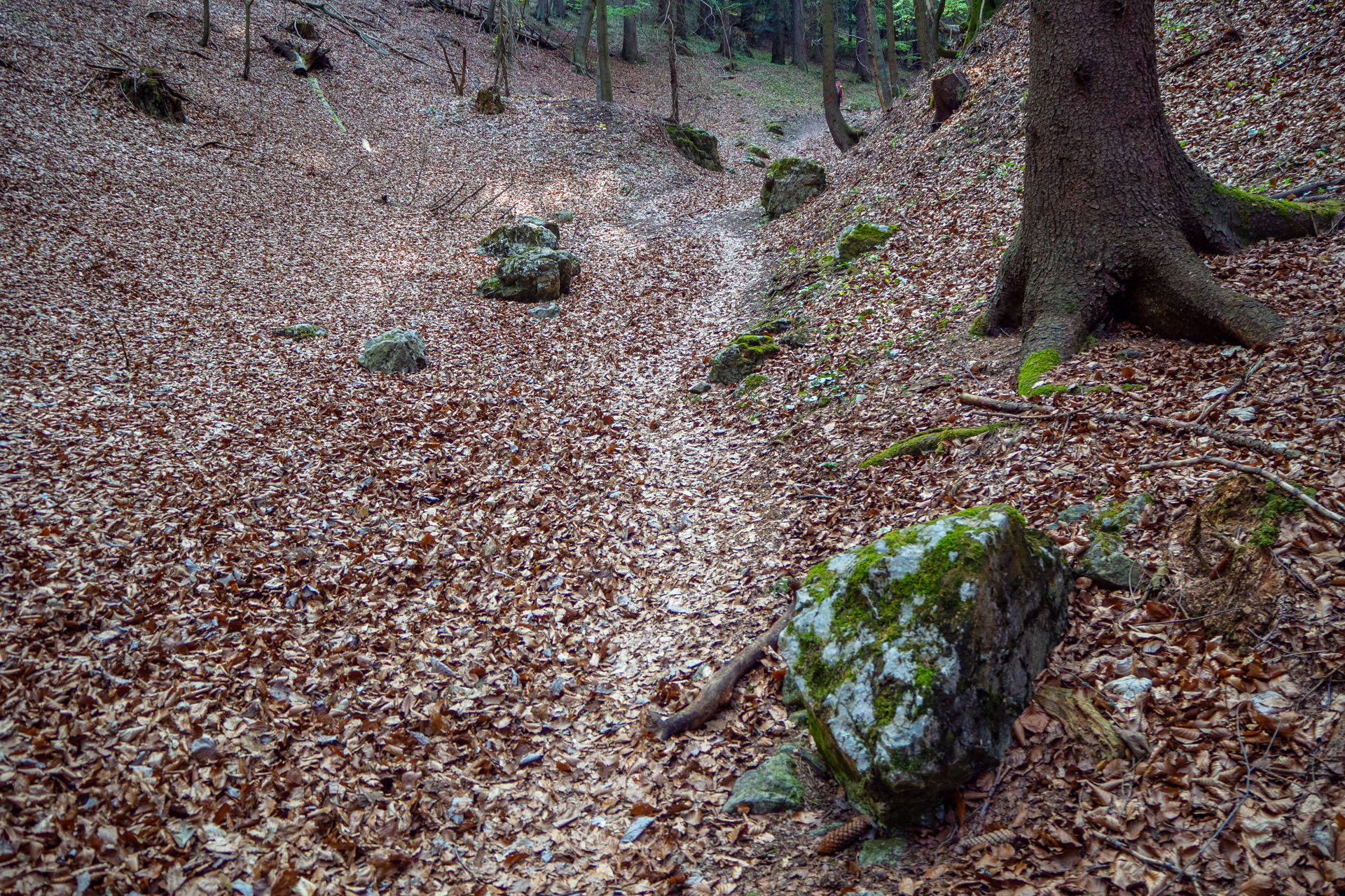 Tlstá a Ostrá z Konského dolu, ústia (Veľká Fatra)