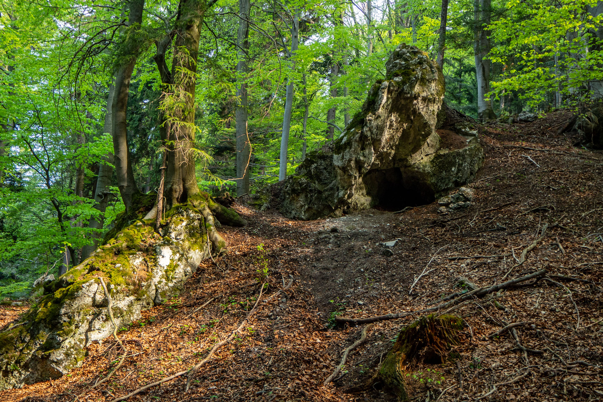 Tlstá a Ostrá z Konského dolu, ústia (Veľká Fatra)