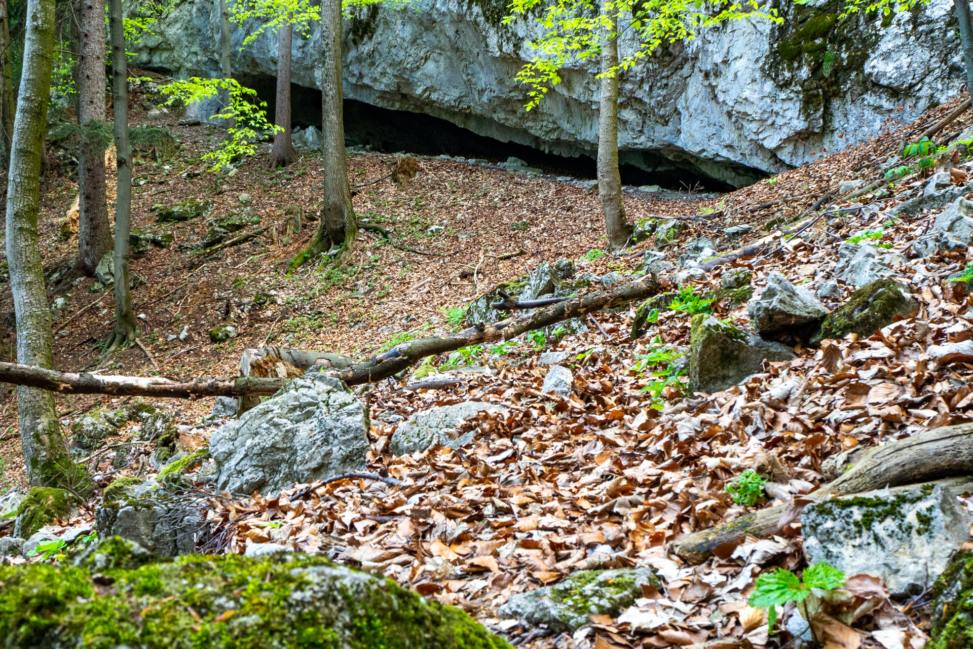 Tlstá a Ostrá z Konského dolu, ústia (Veľká Fatra)