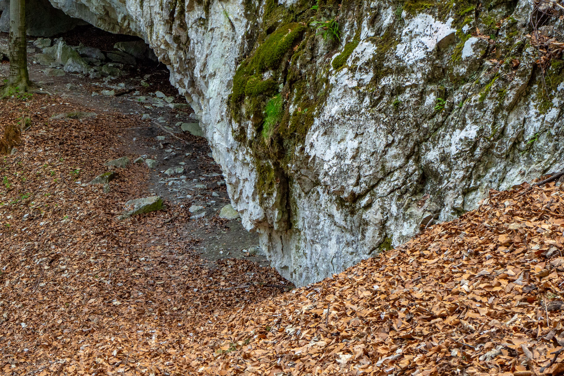 Tlstá a Ostrá z Konského dolu, ústia (Veľká Fatra)