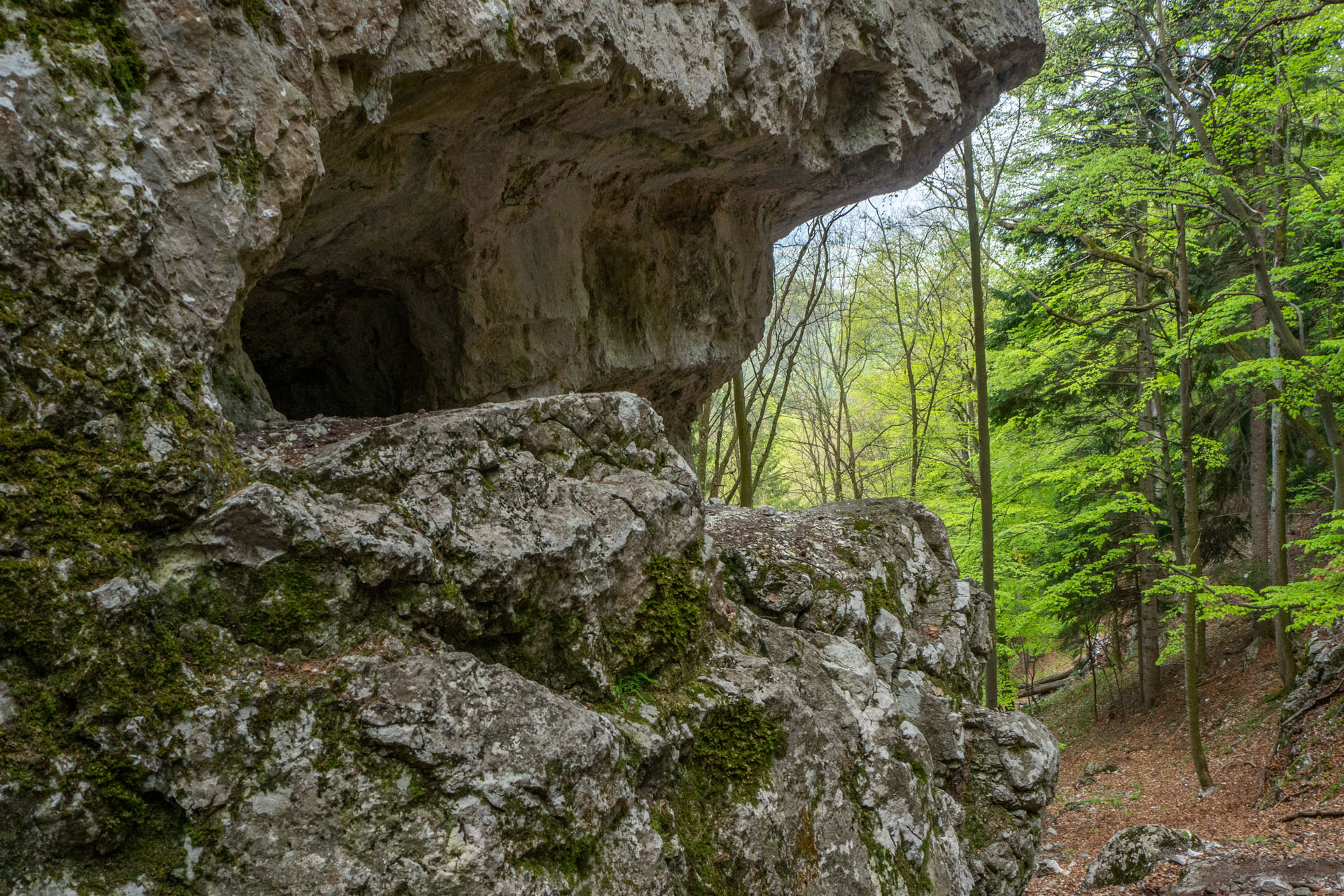 Tlstá a Ostrá z Konského dolu, ústia (Veľká Fatra)