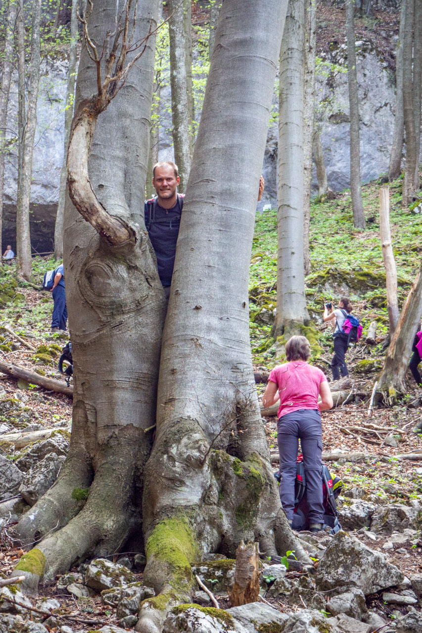 Tlstá a Ostrá z Konského dolu, ústia (Veľká Fatra)